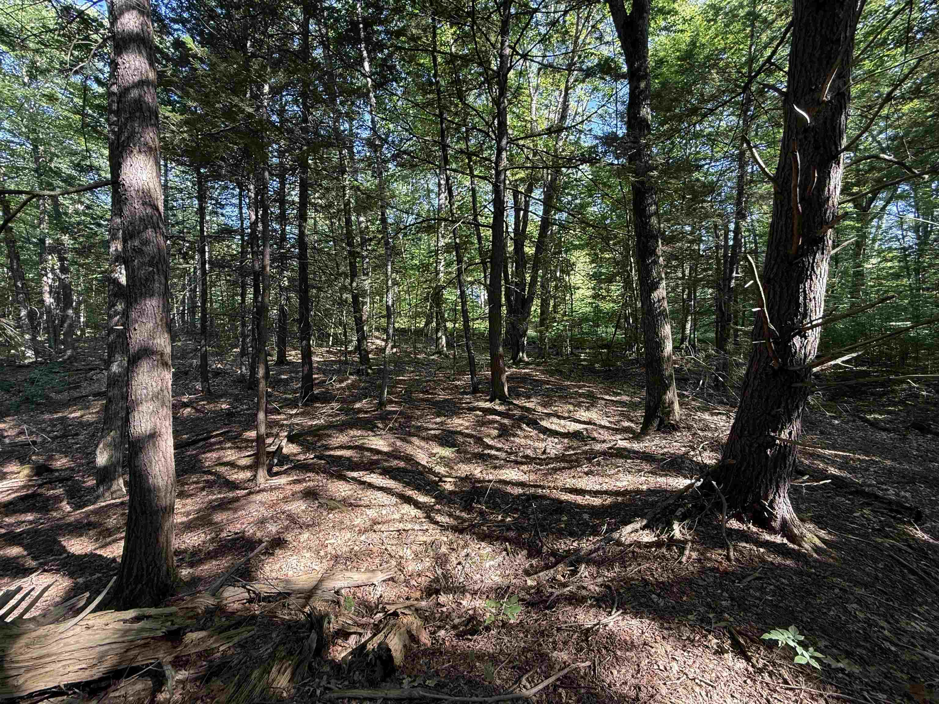 0 Stickney Brook Road Property Photo 11