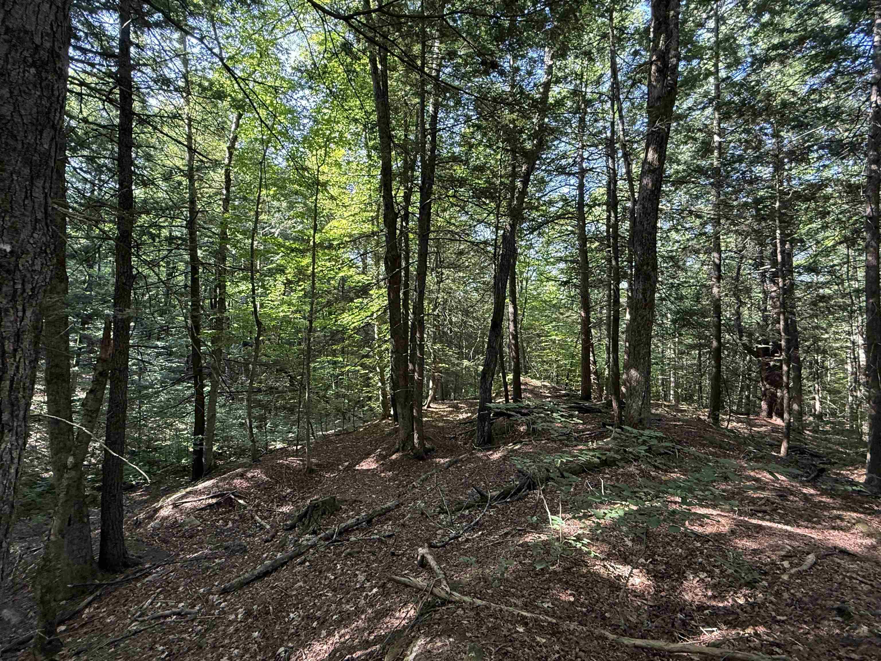 0 Stickney Brook Road Property Photo 12