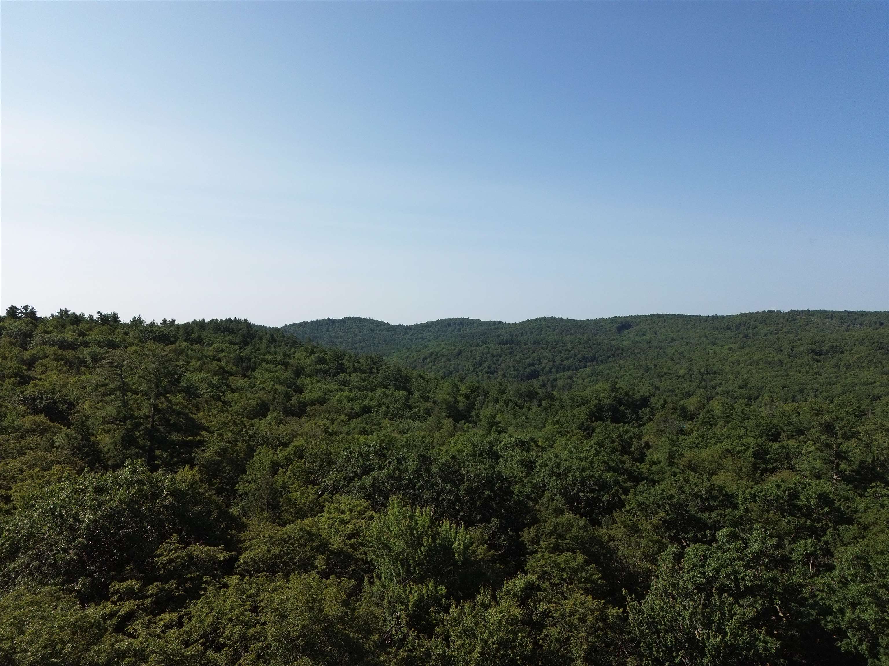 0 Stickney Brook Road Property Photo 13