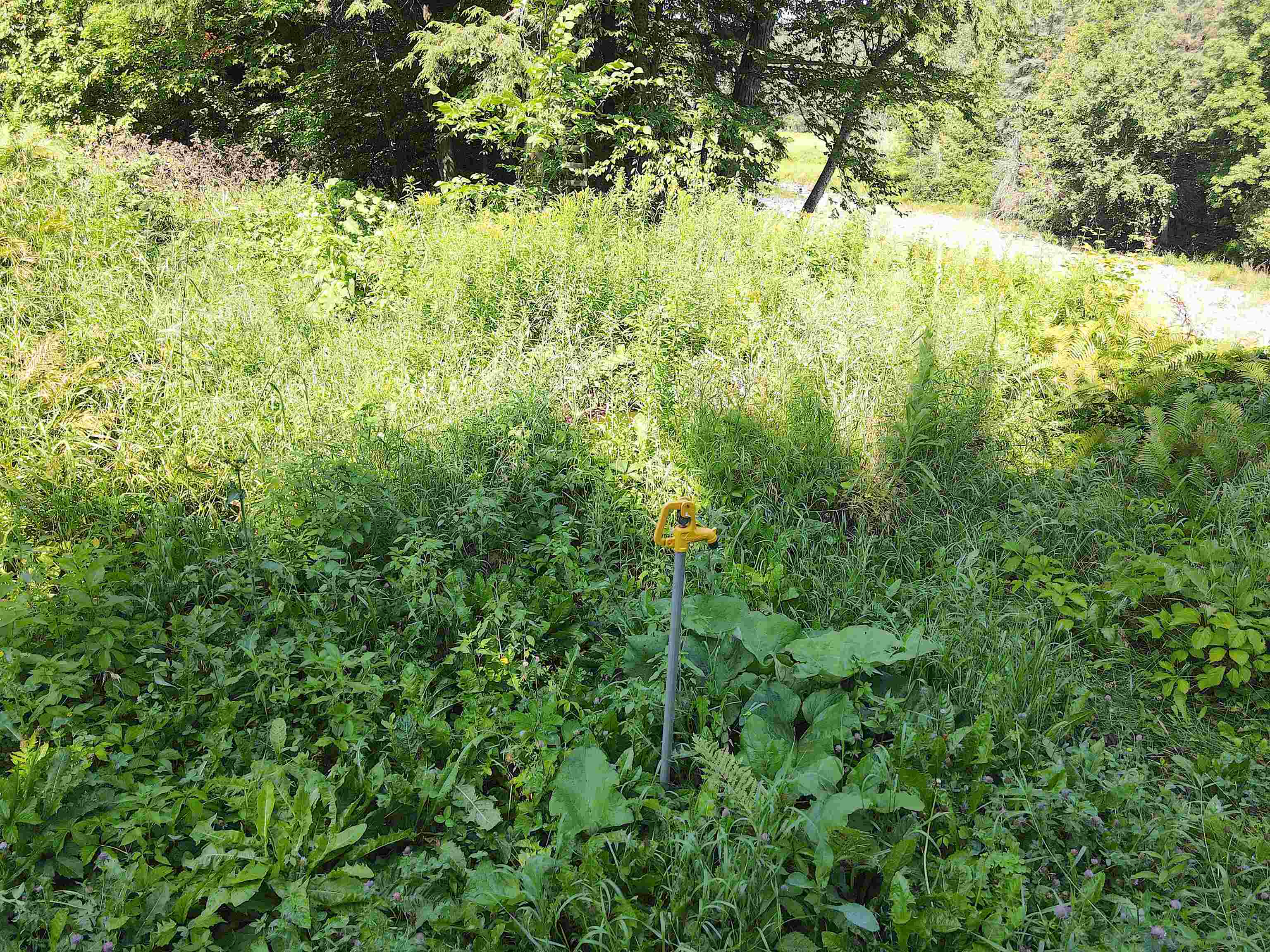 2141 Vt Route 16 Property Photo 22