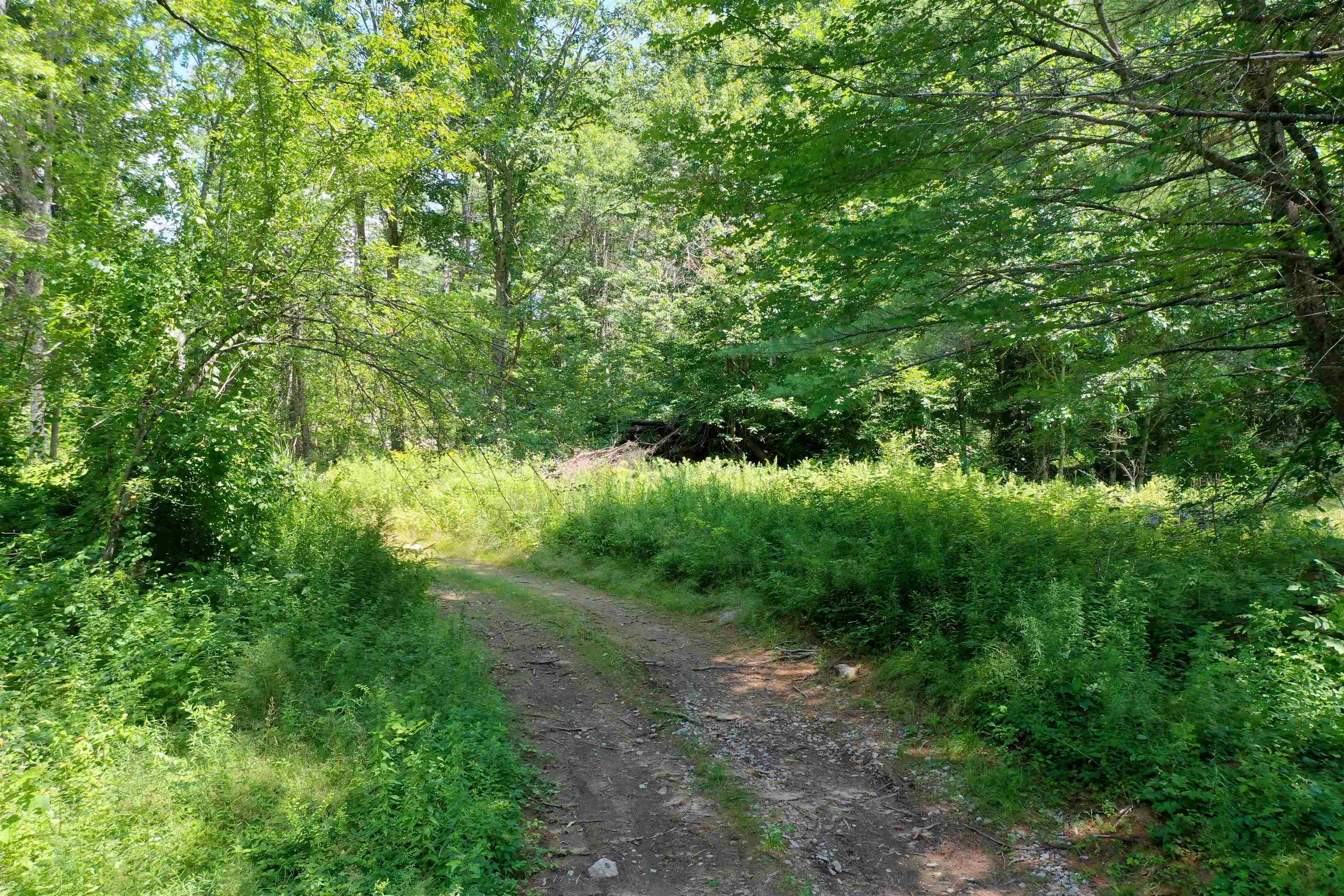 00 East Washington Road Property Photo 6