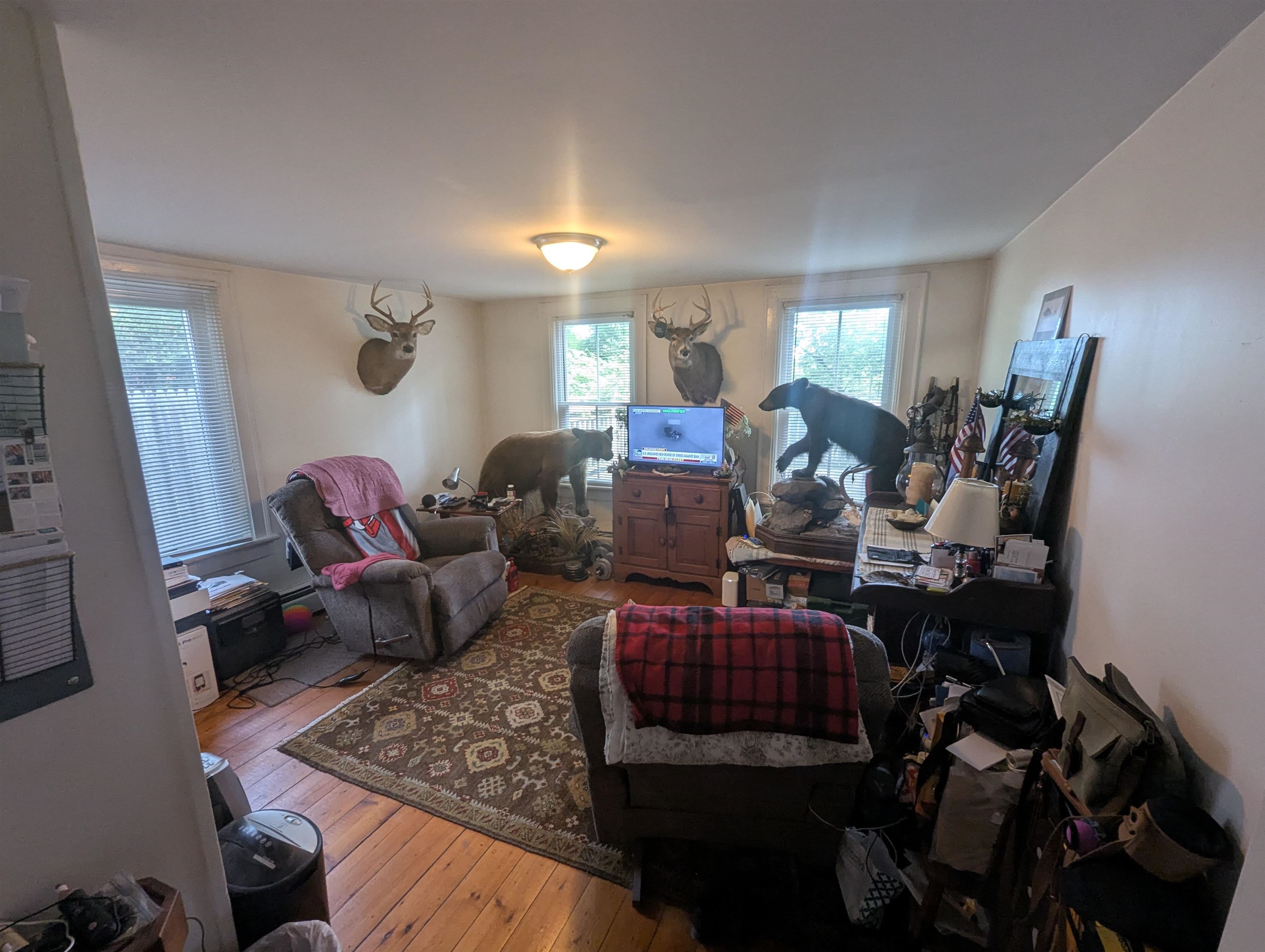 110 Short Street Property Photo 7