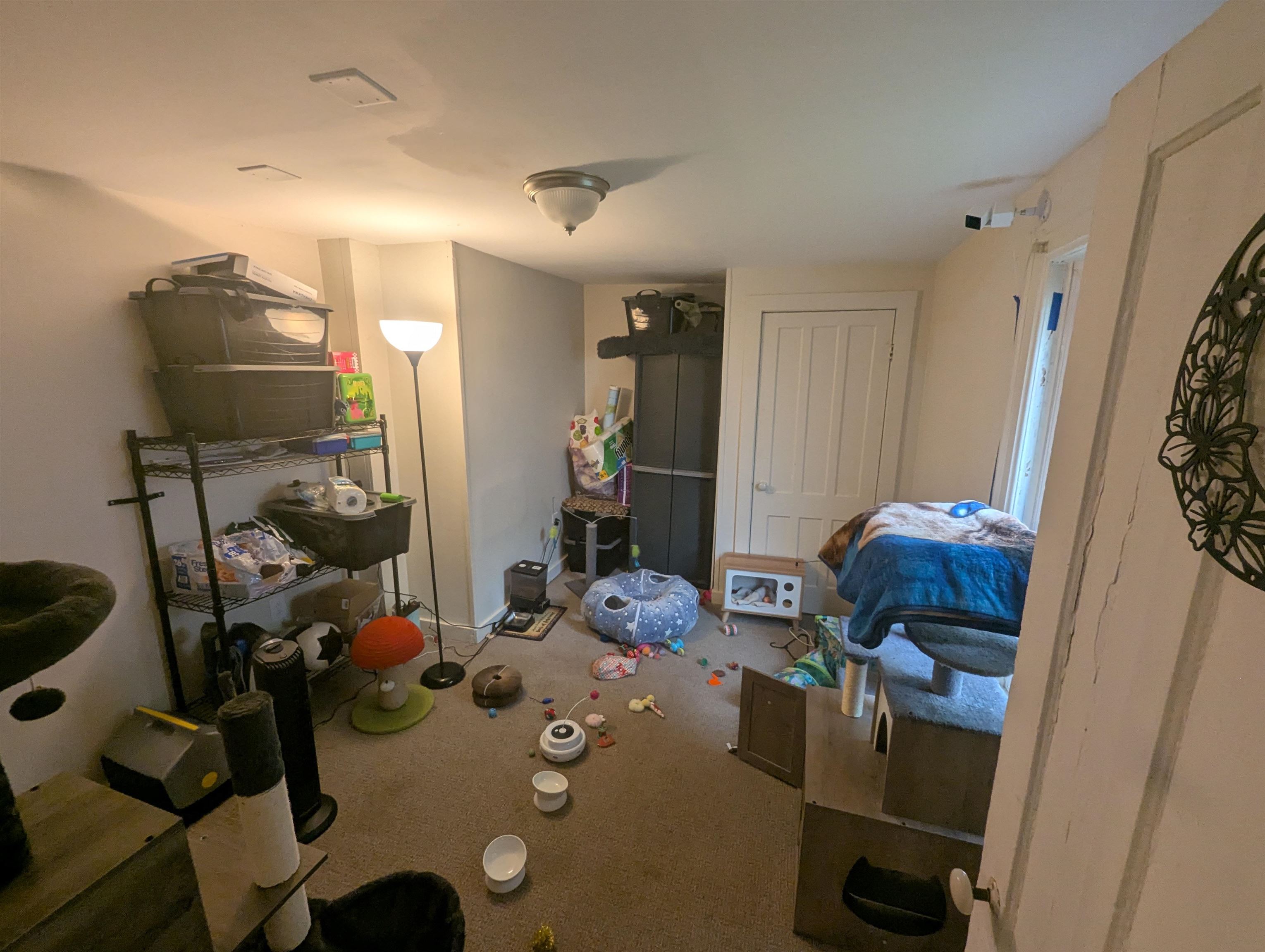 110 Short Street Property Photo 15