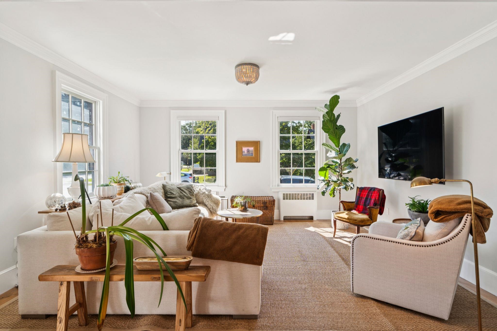 24 Westminster Street Property Photo 32