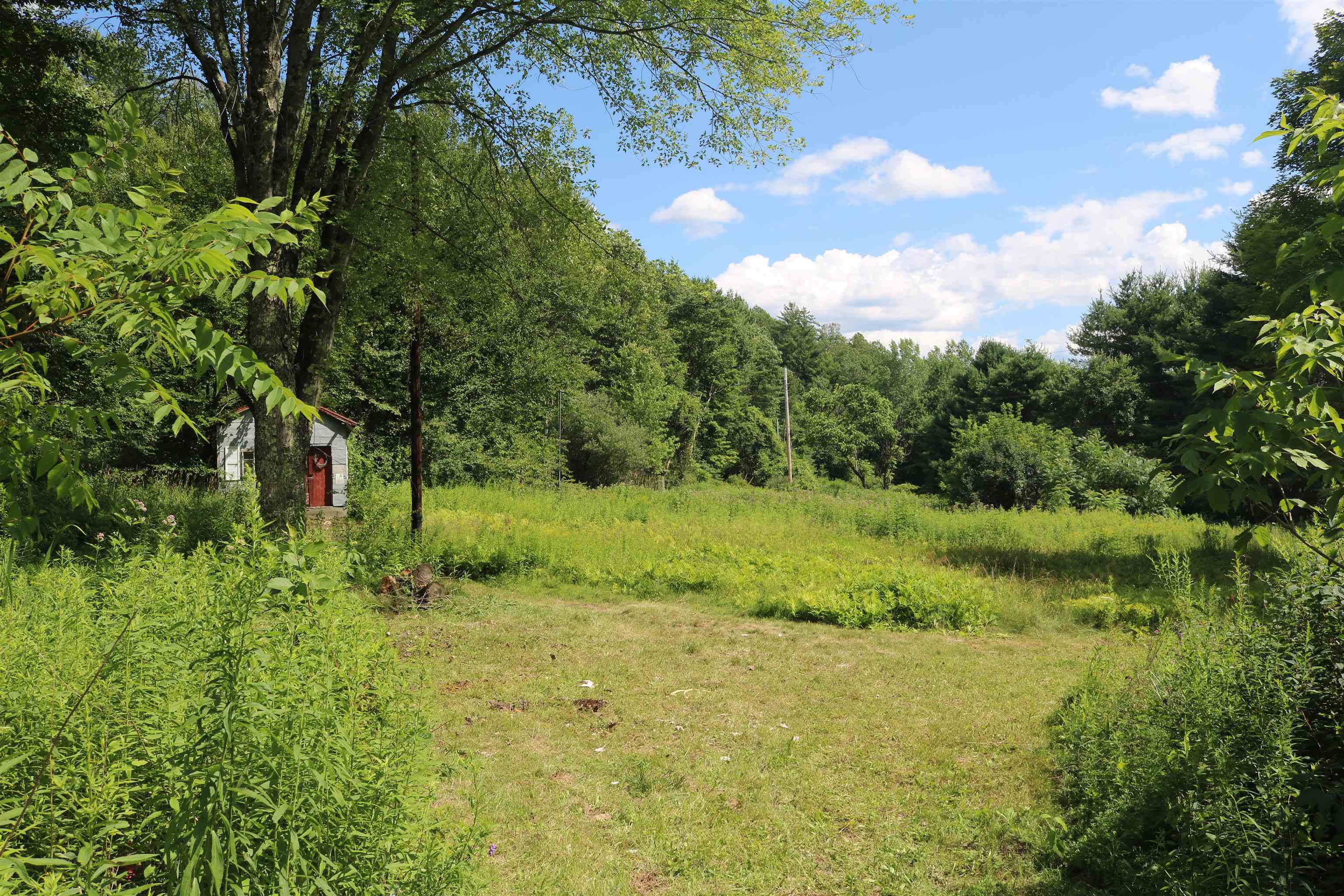 564 Goose Pond Road Property Photo 4