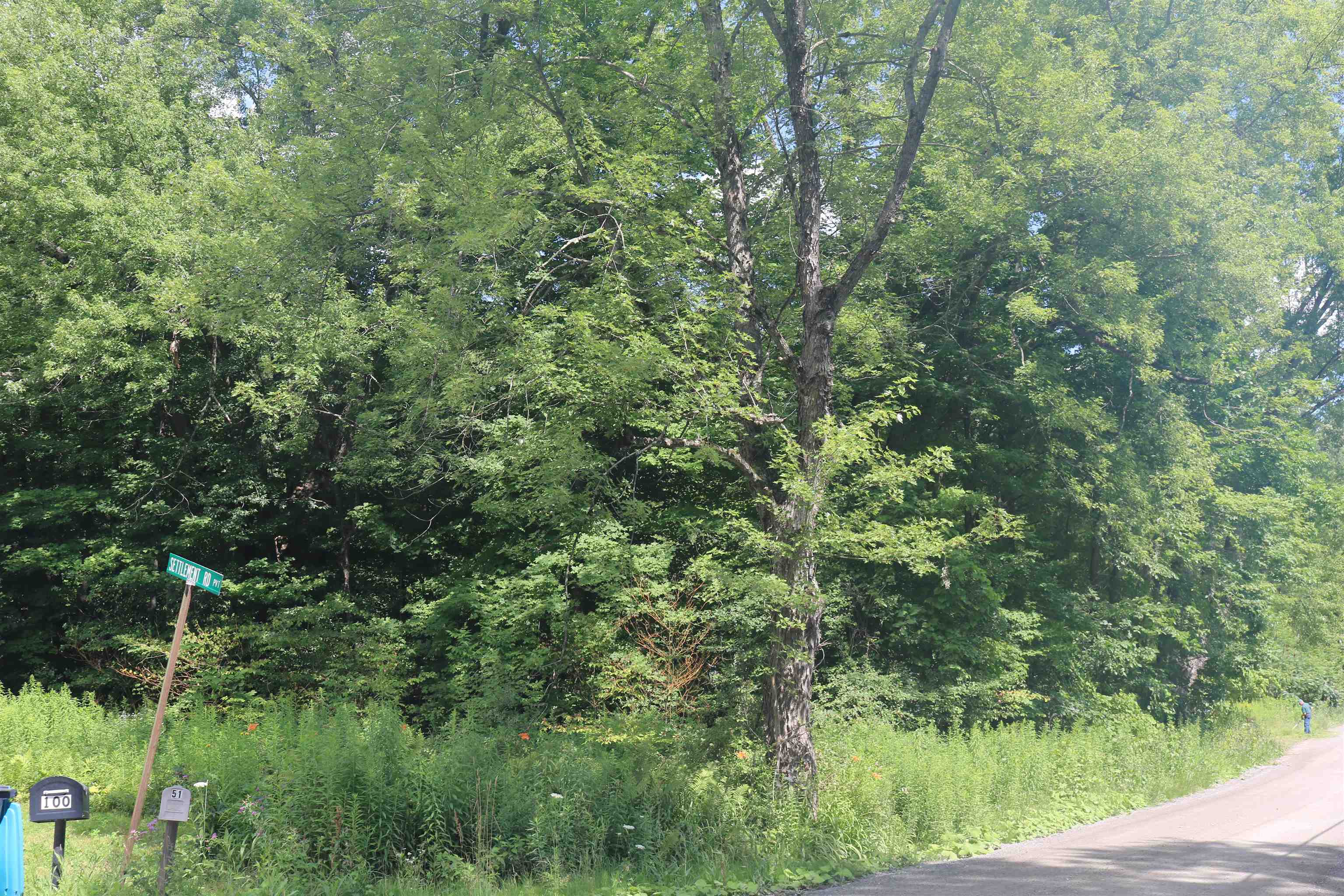 564 Goose Pond Road Property Photo 5