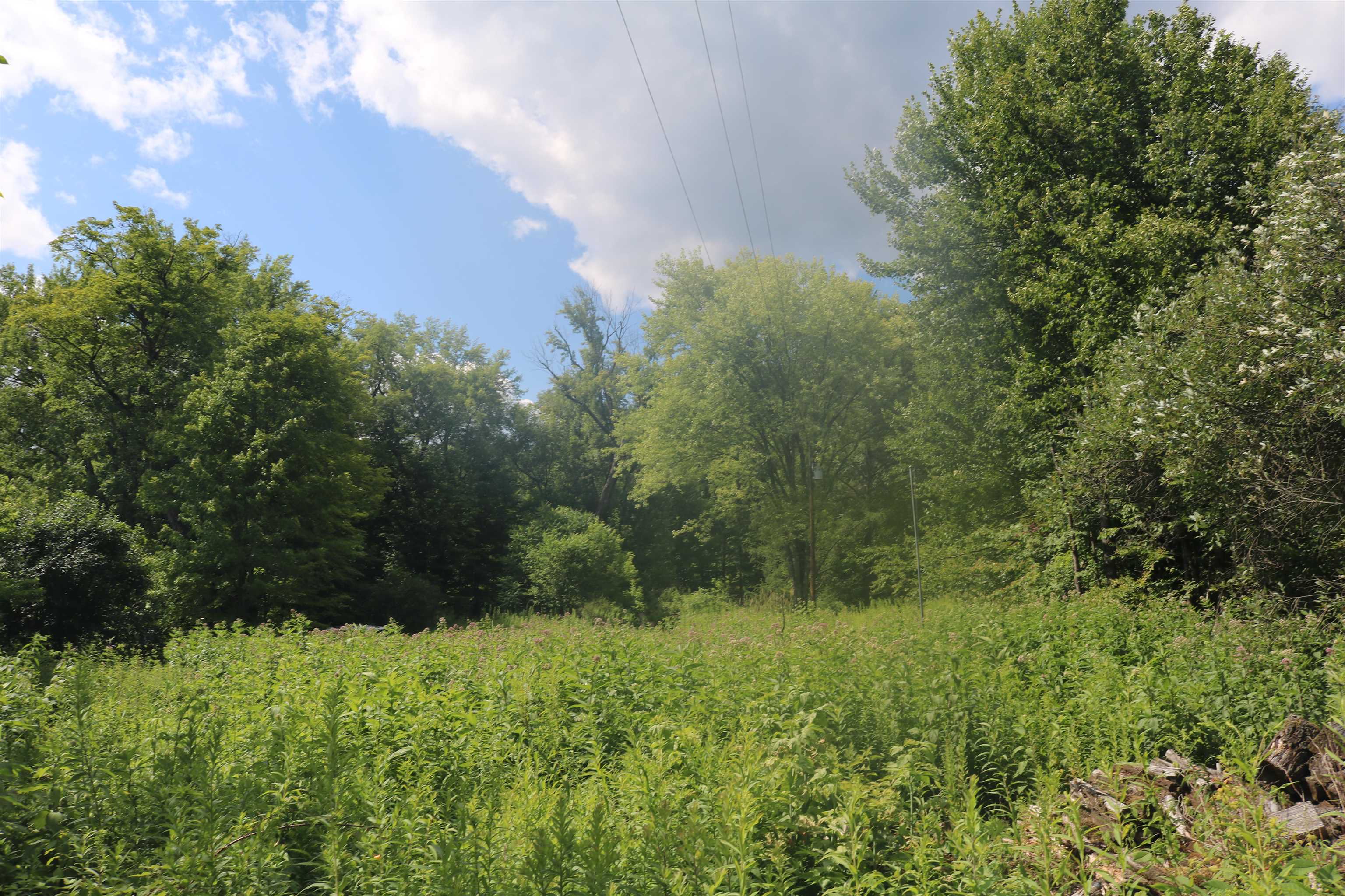 564 Goose Pond Road Property Photo 8