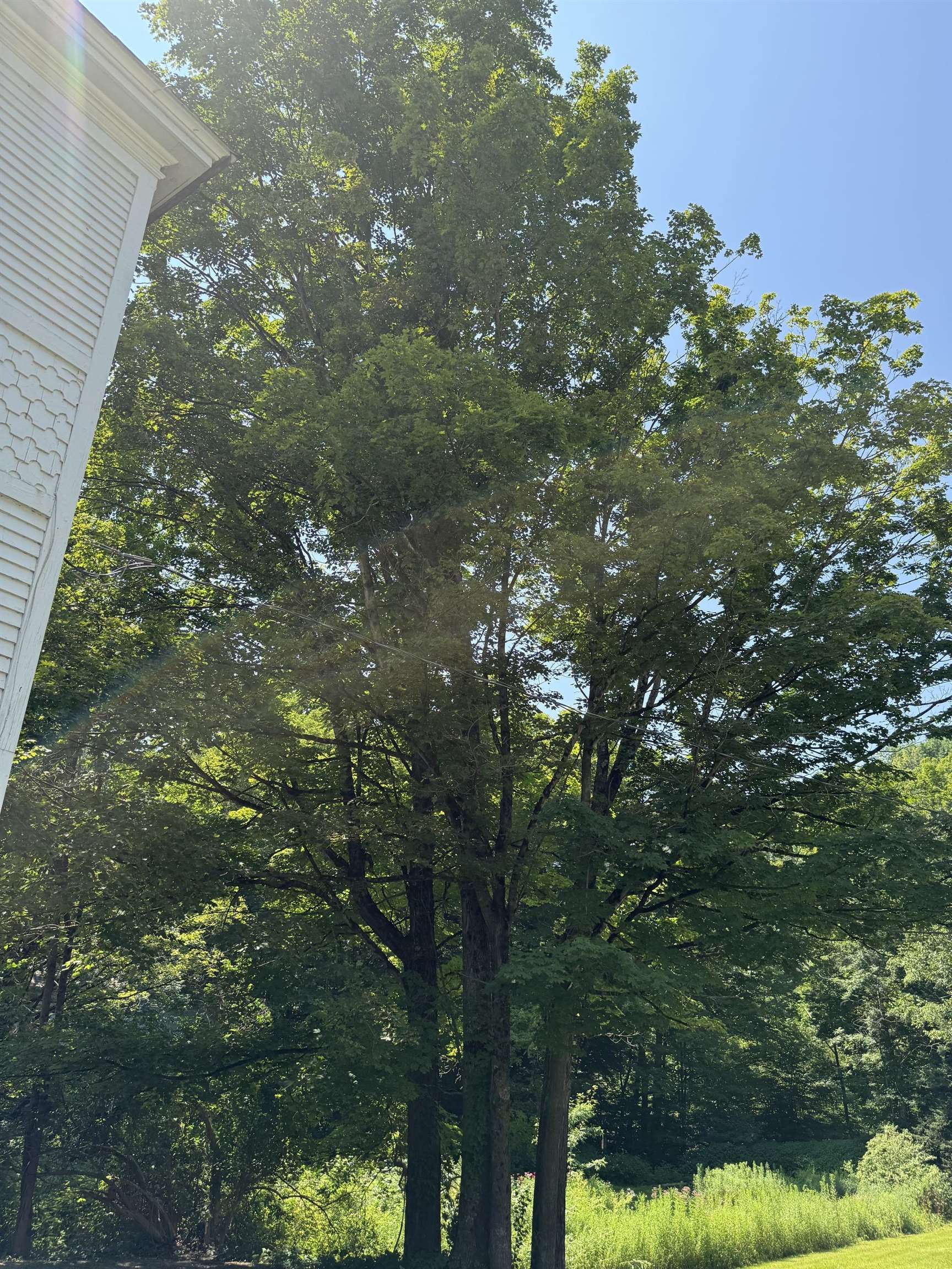 2689 Vt Route 153 Property Photo 23