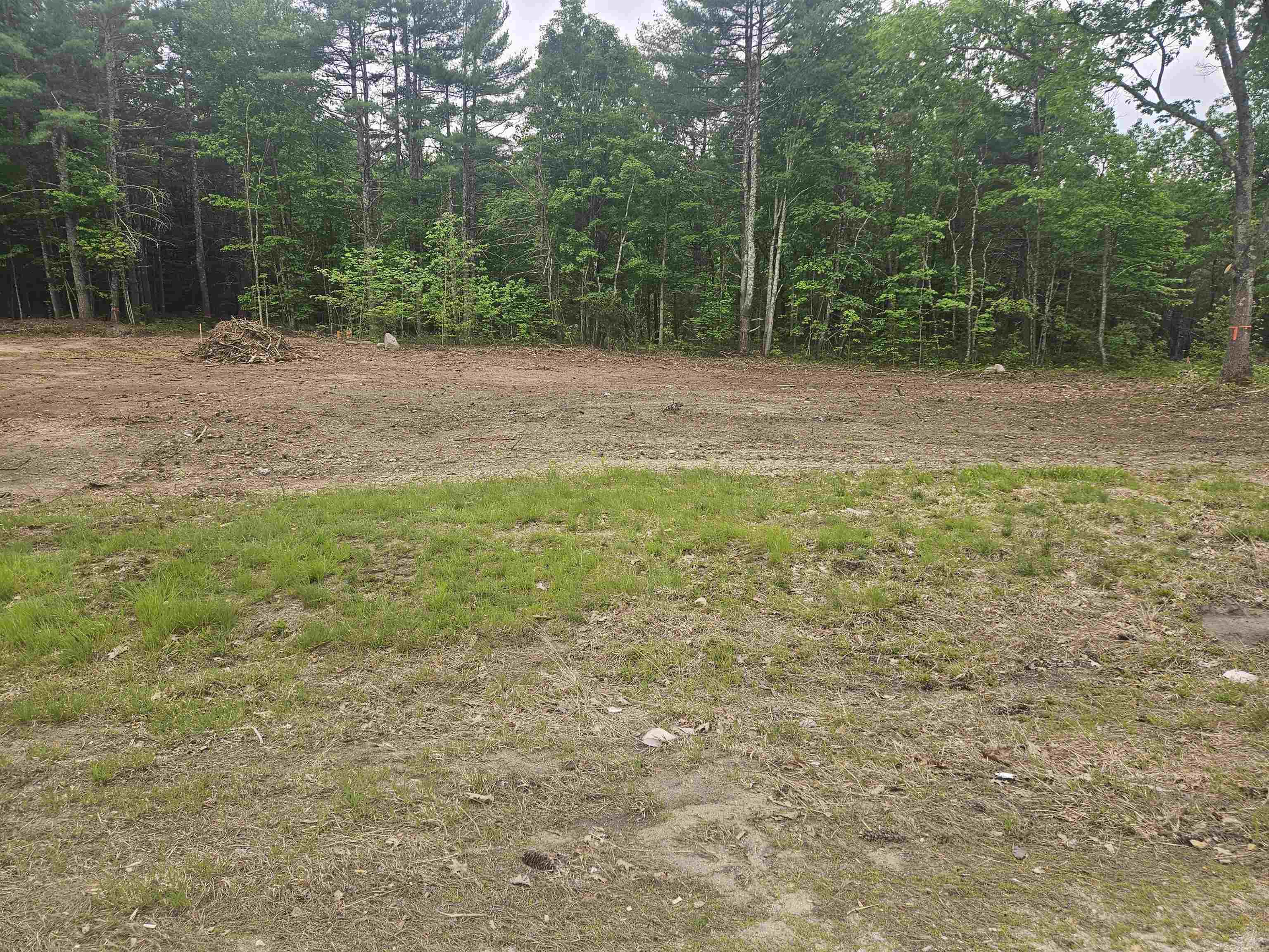 Lot 24 Route 11 Property Photo 3