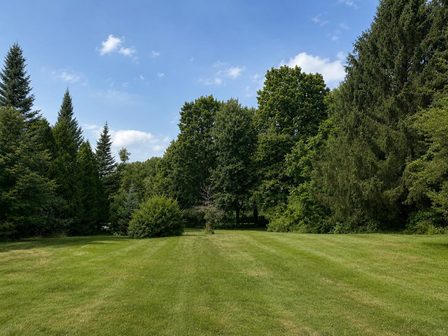 240 Mountain Road Property Photo 1