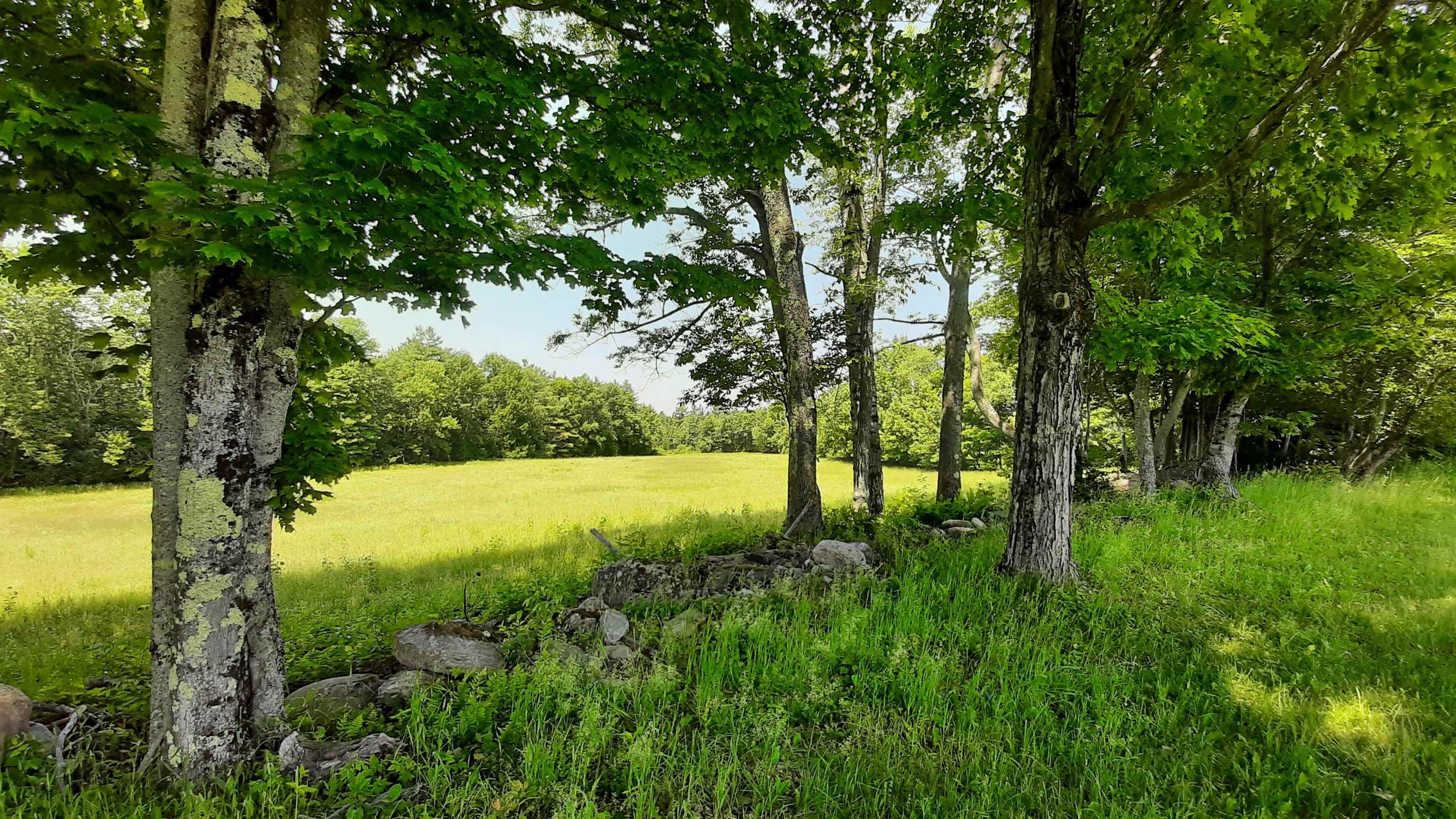 929 Packer Road Property Photo 46
