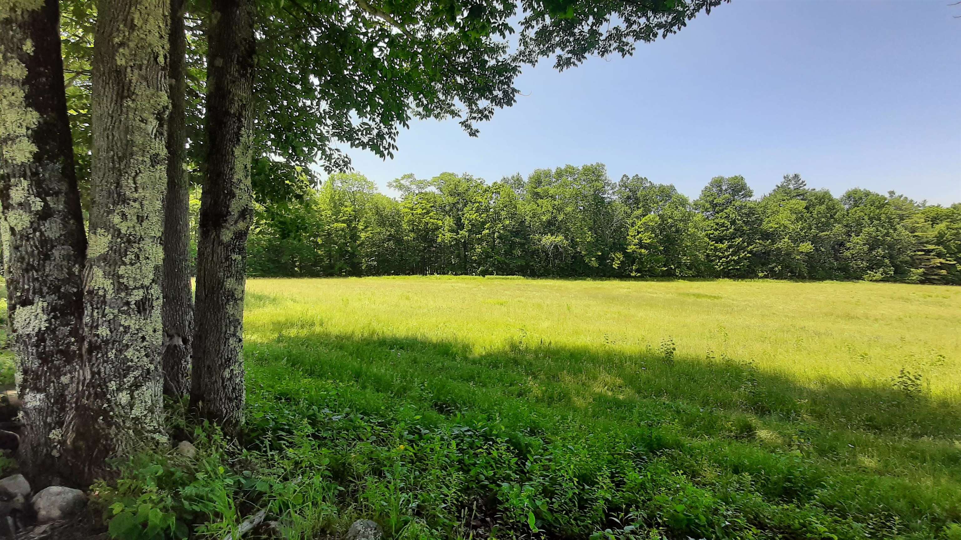 929 Packer Road Property Photo 48