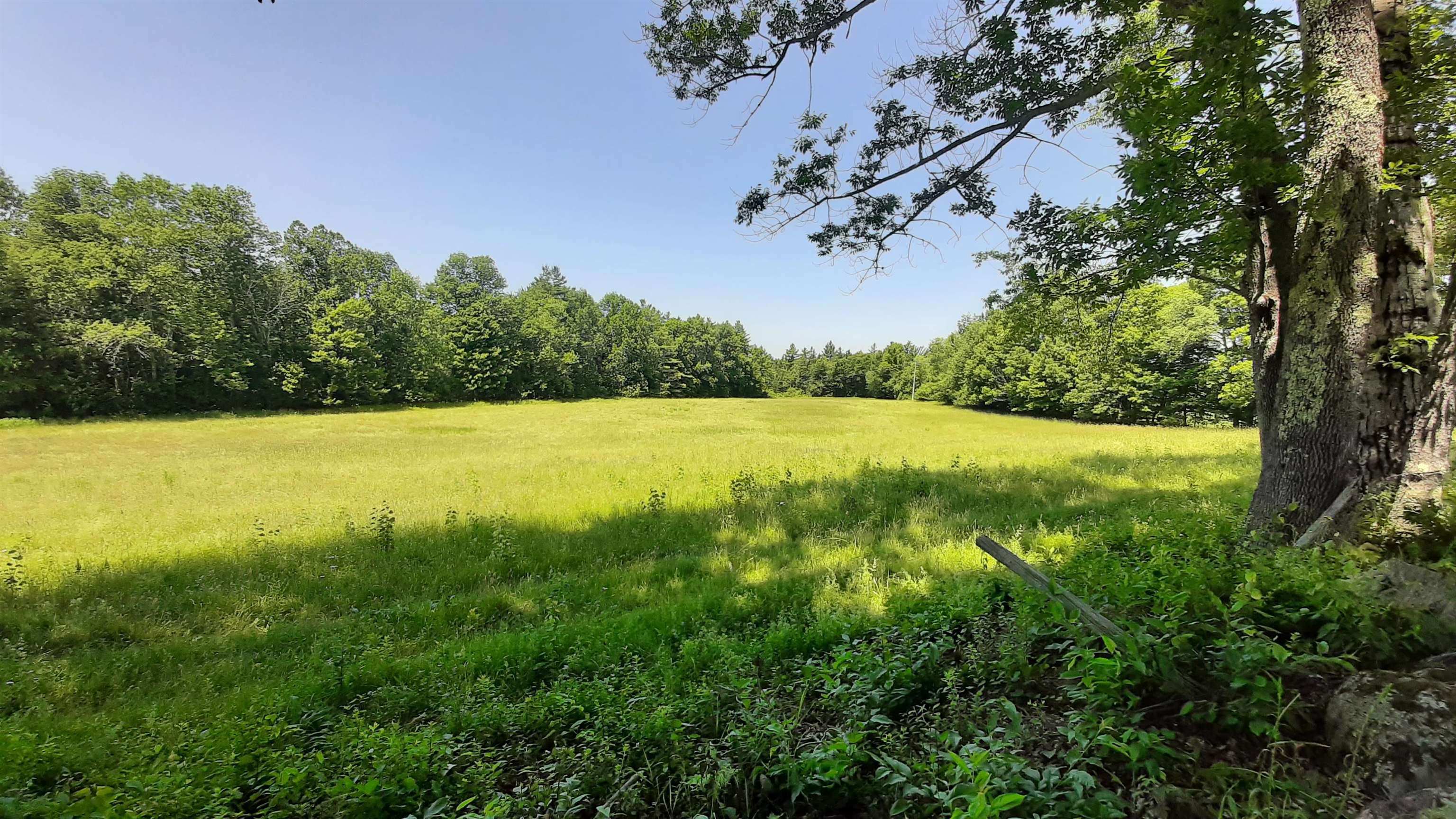 929 Packer Road Property Photo 49