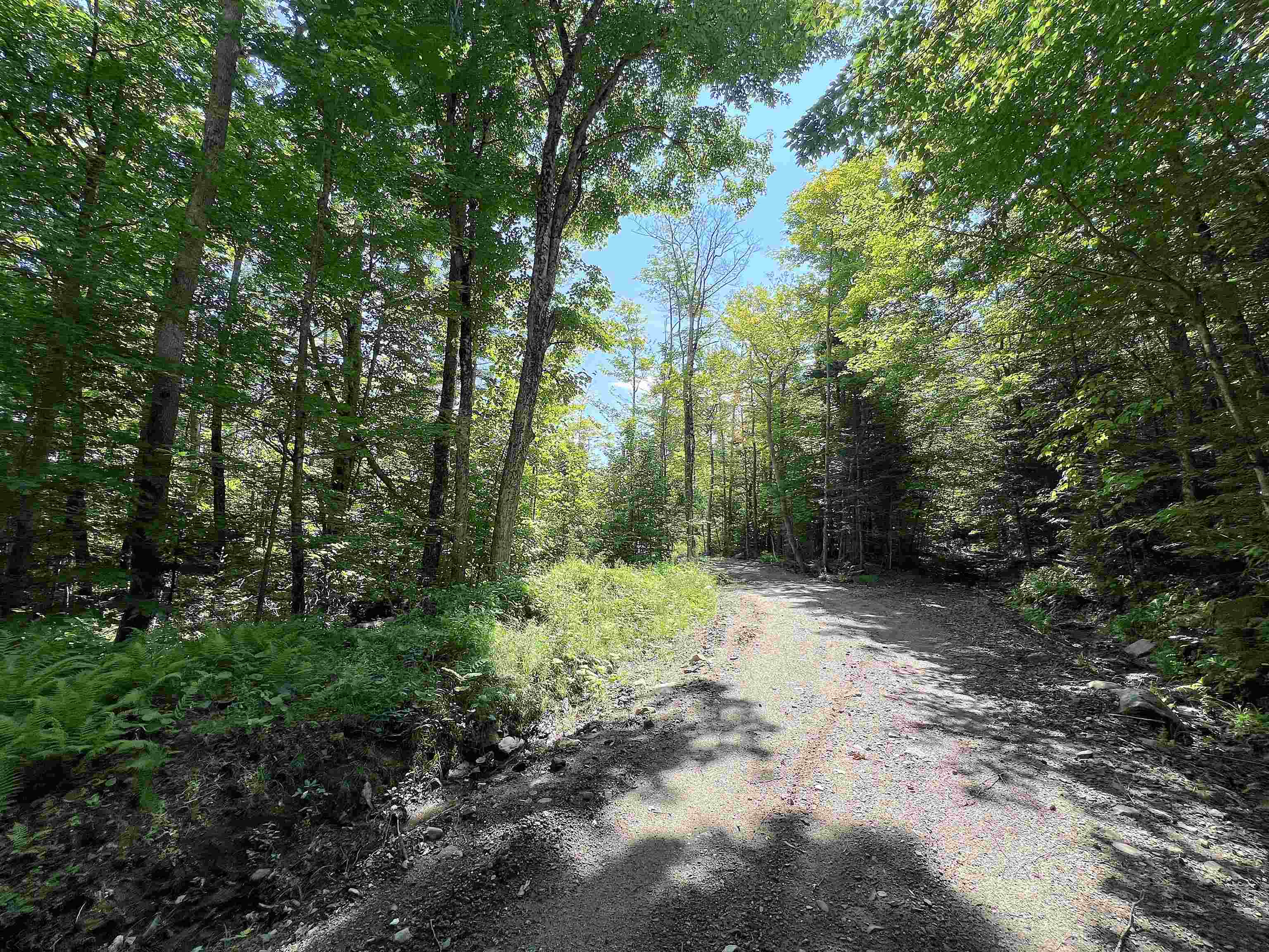 969 Mud Road Property Photo 11