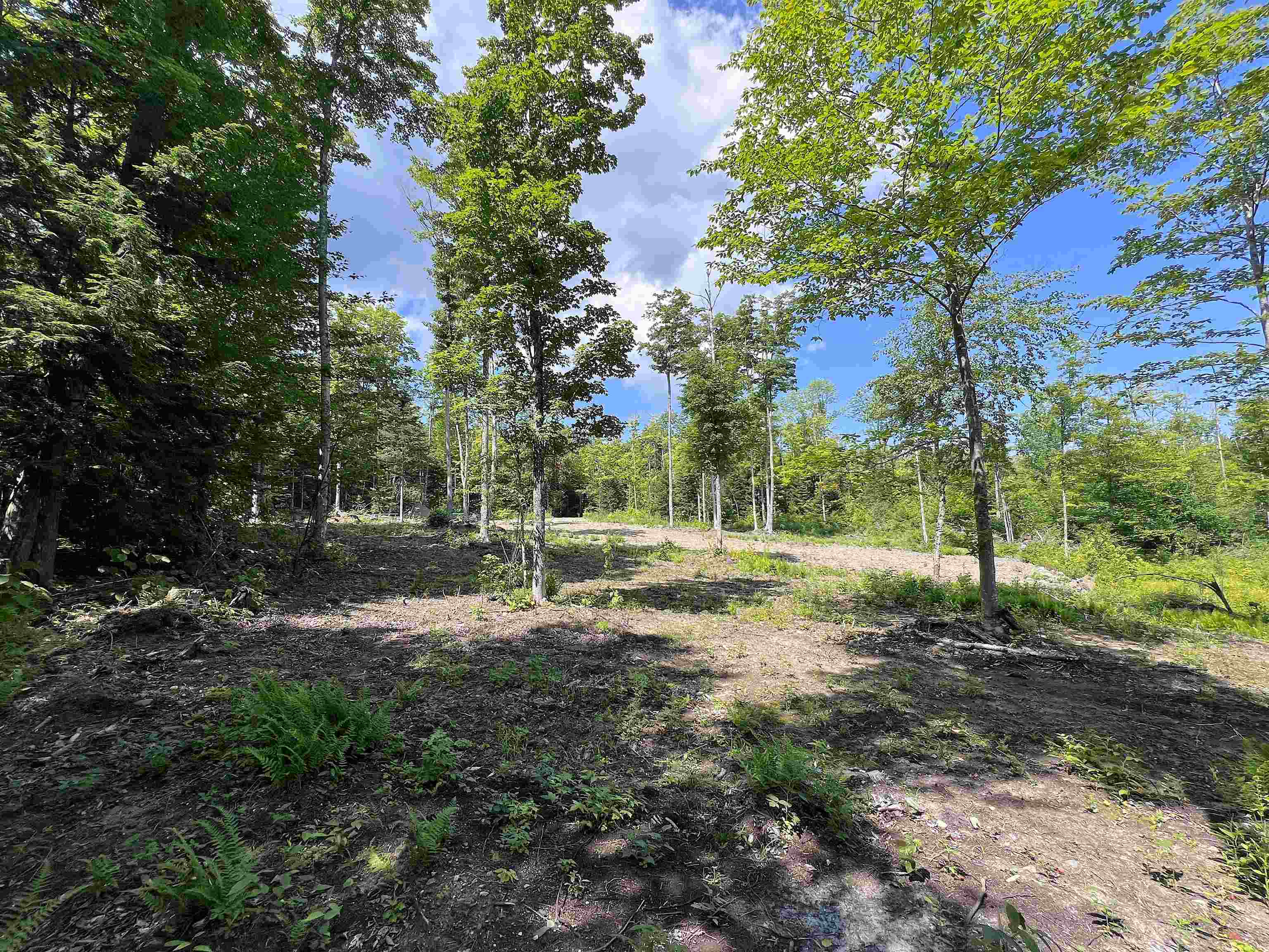 969 Mud Road Property Photo 12