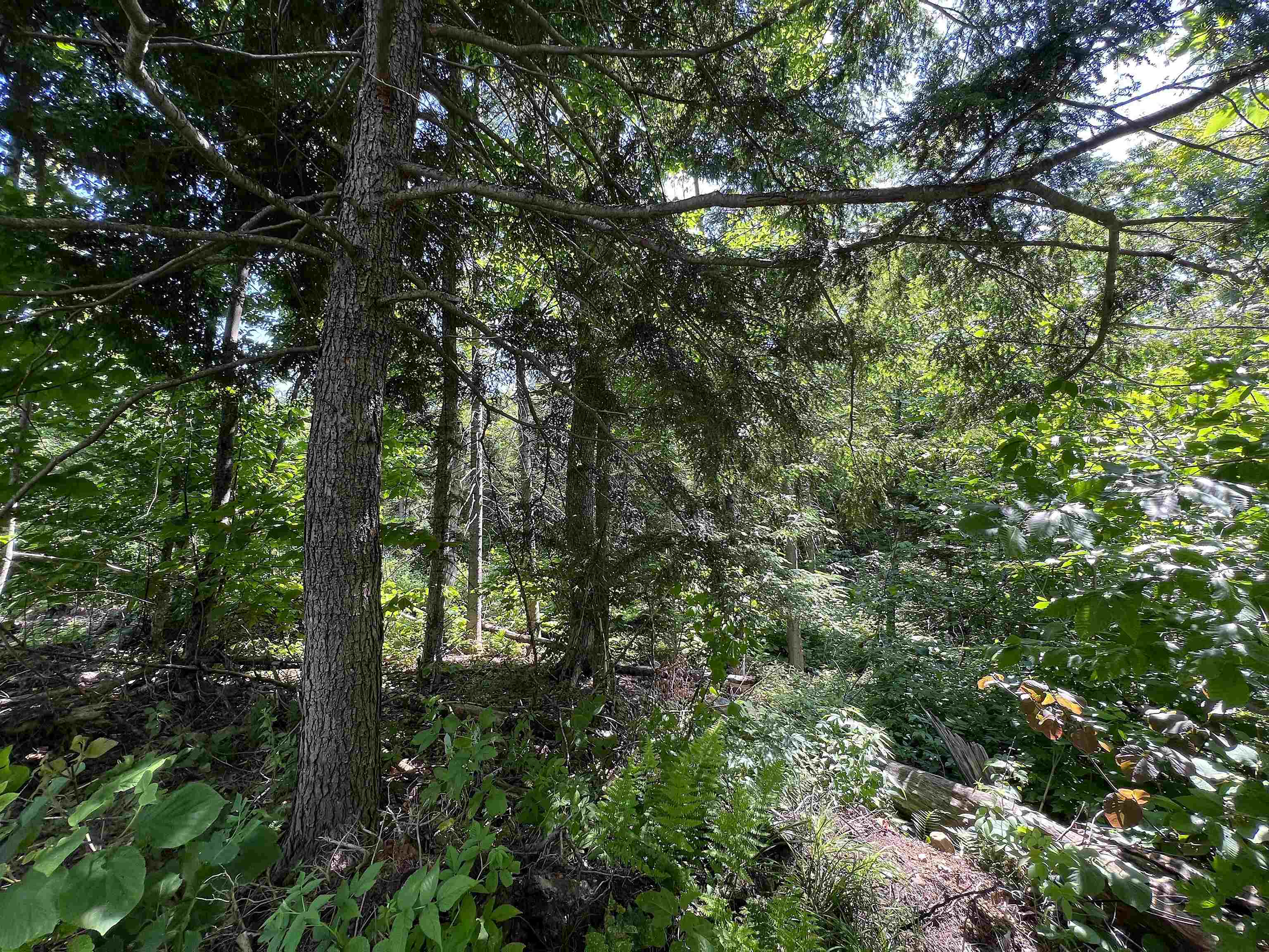 969 Mud Road Property Photo 13