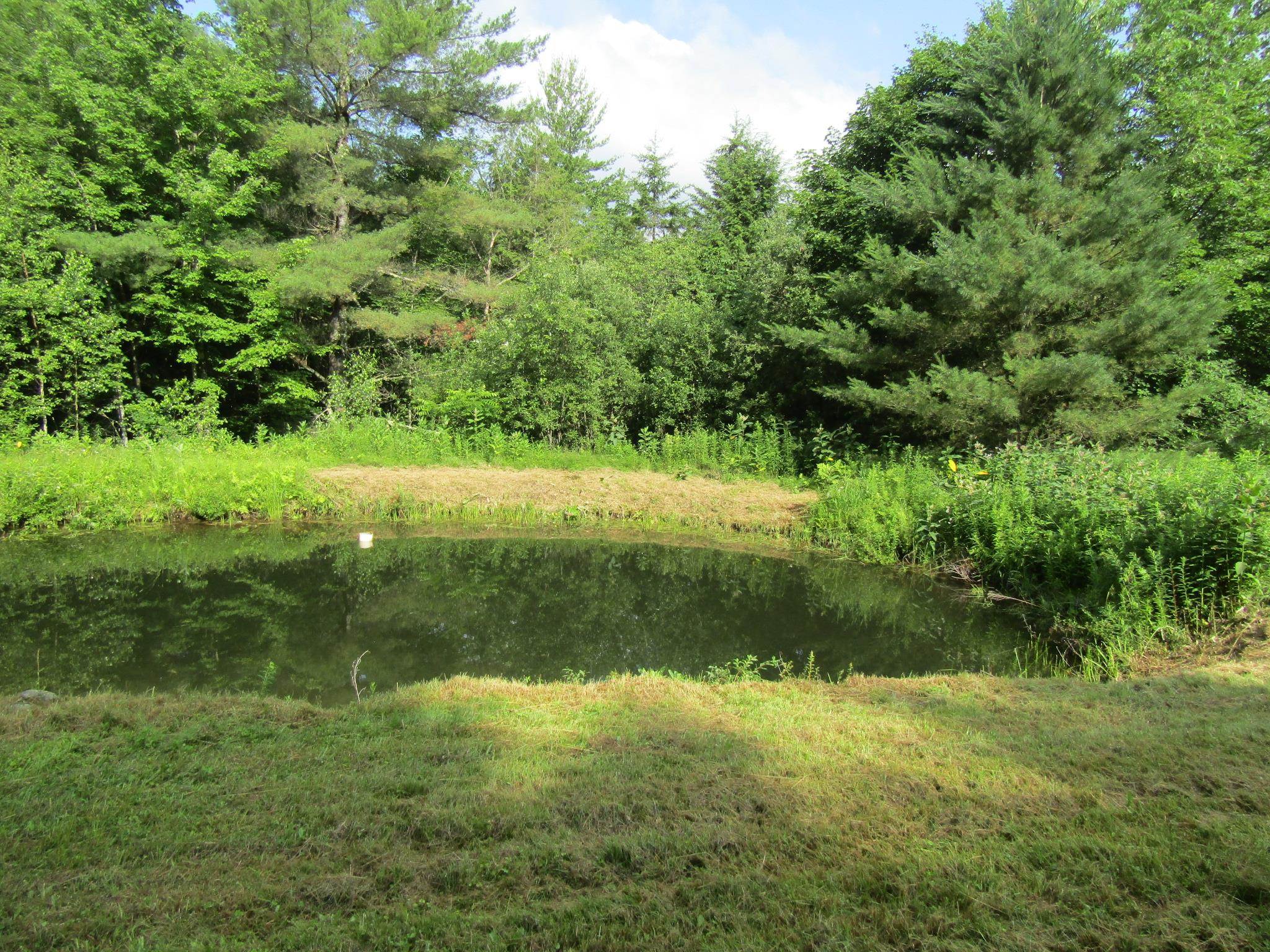 903 Witchcat Road Property Photo 37