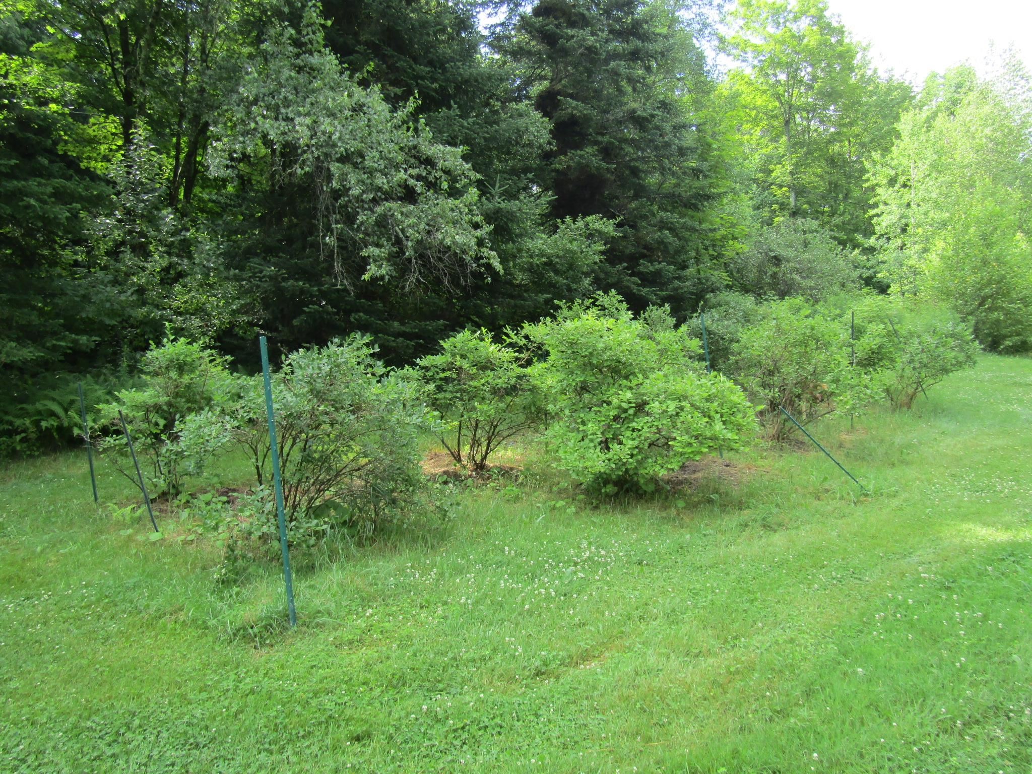 903 Witchcat Road Property Photo 48