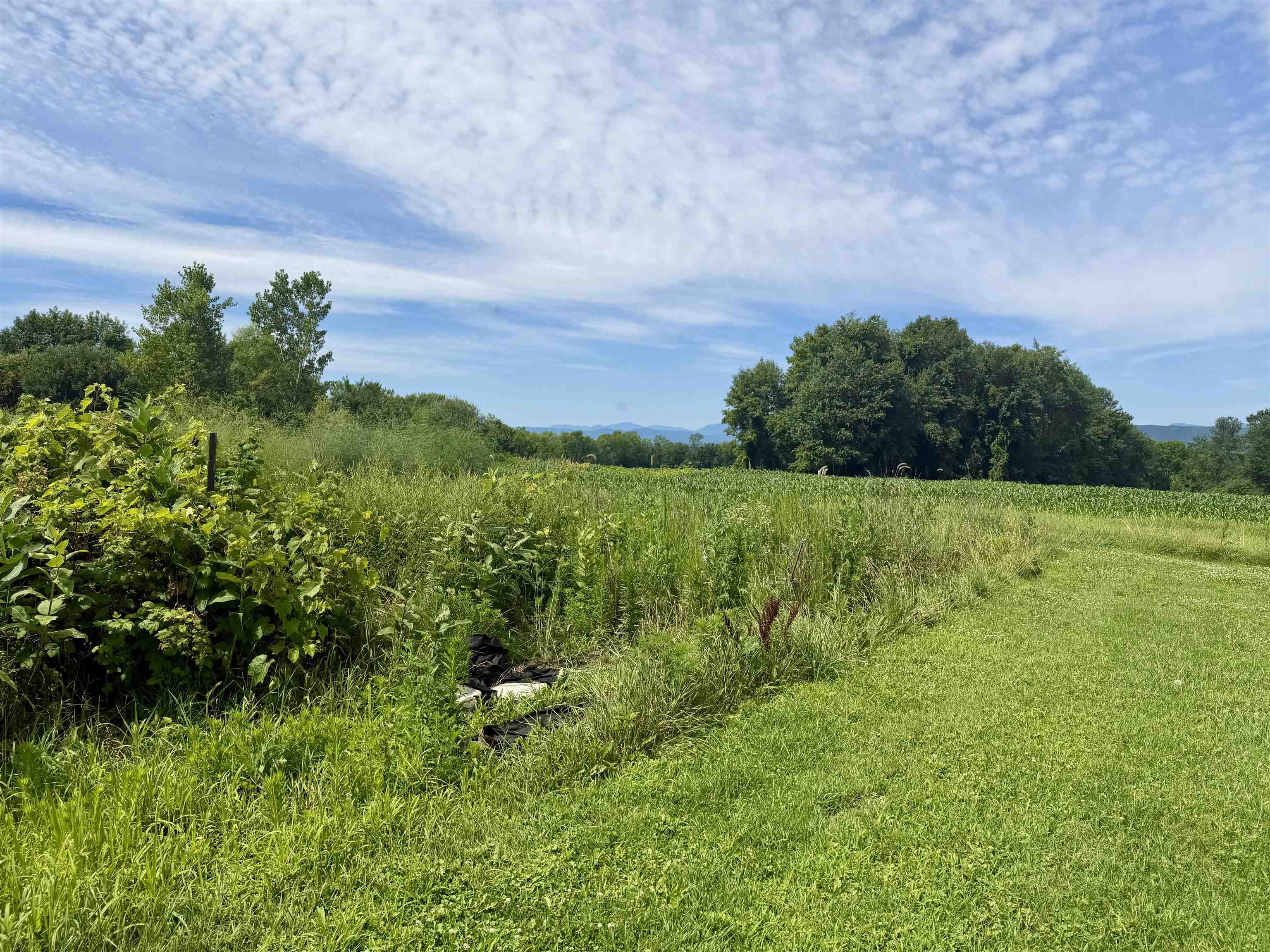 5217 Us Rt 7 Property Photo 11