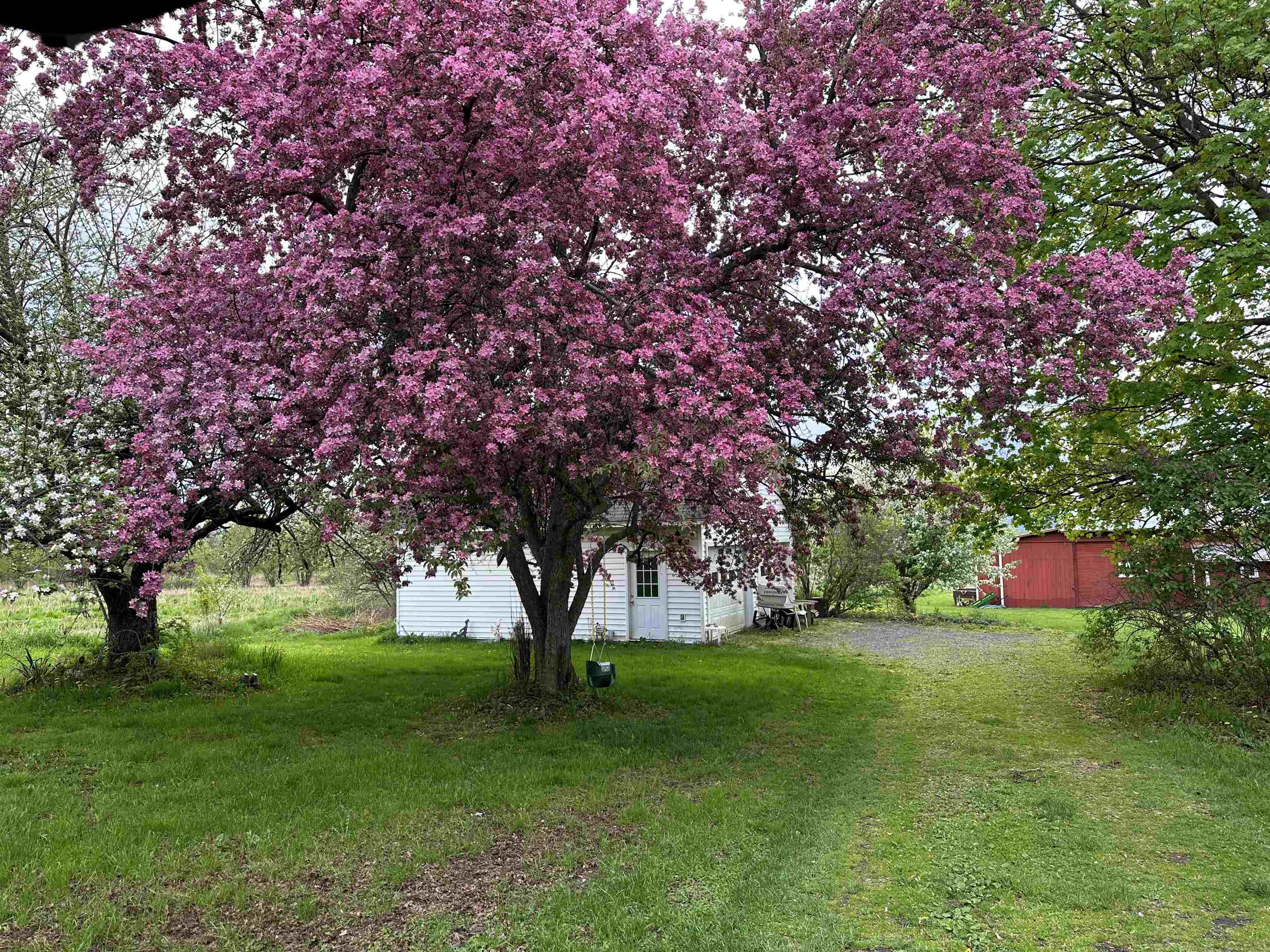 5217 Us Rt 7 Property Photo 25