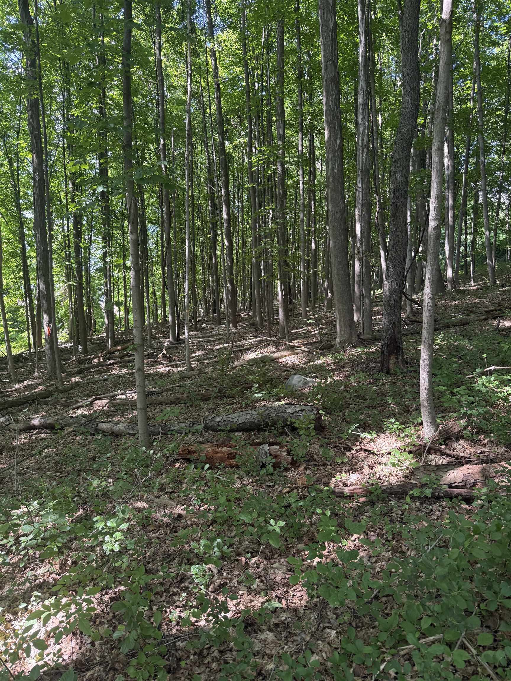 Tbd Route 7 North Property Photo 4