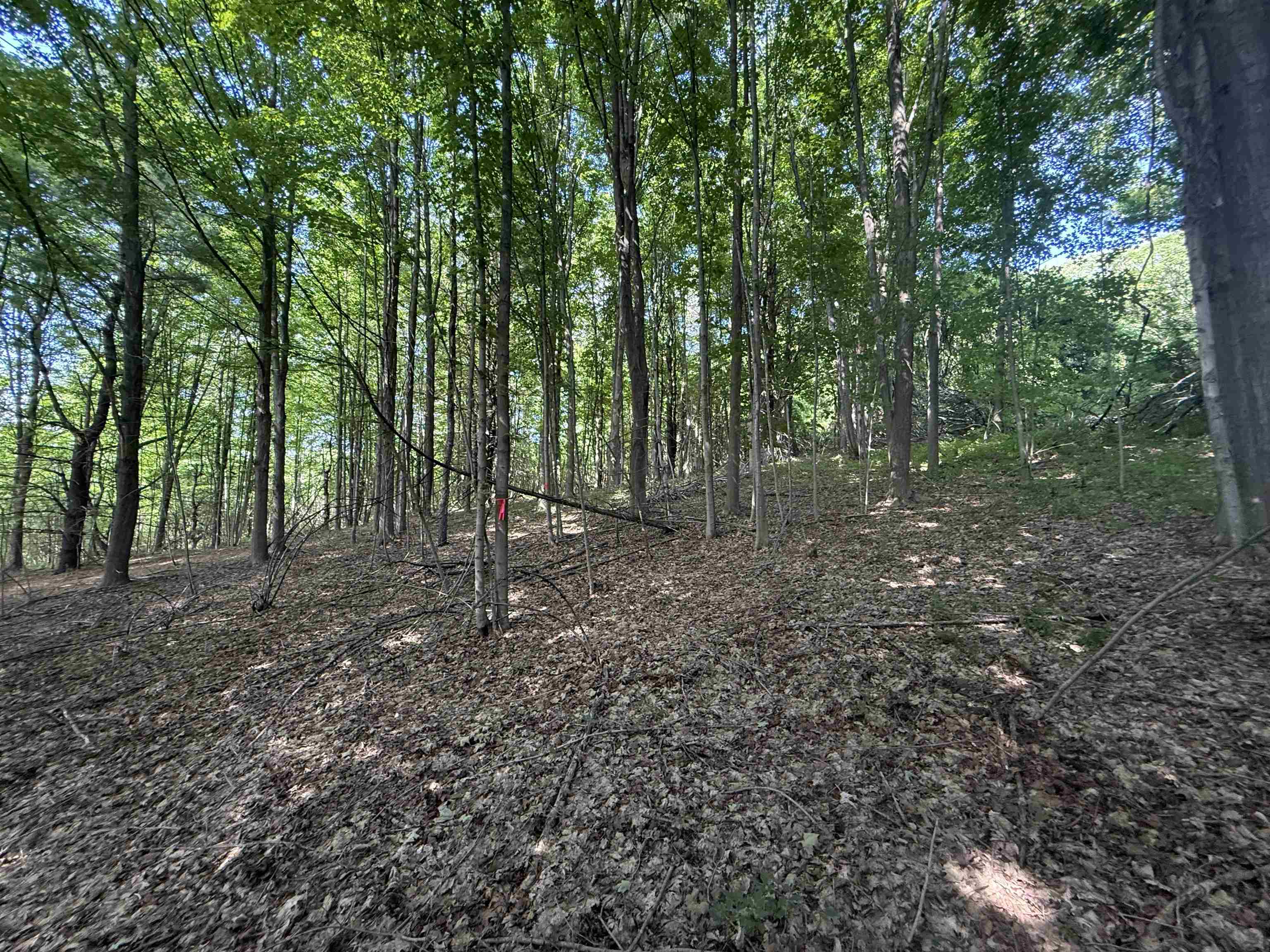 Tbd Route 7 North Property Photo 6