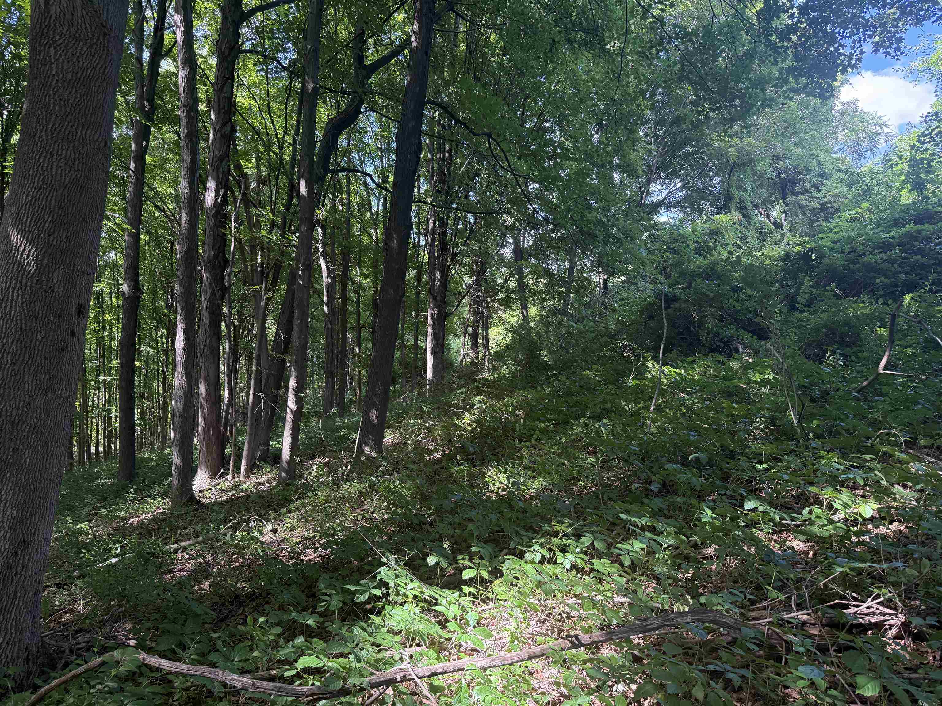 Tbd Route 7 North Property Photo 7