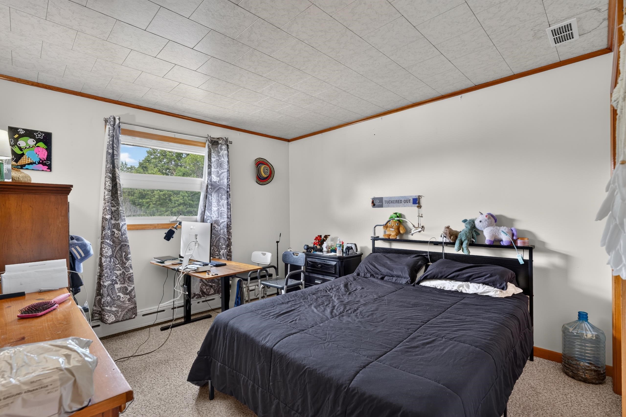 48 Mansion Hill Drive Property Photo 23