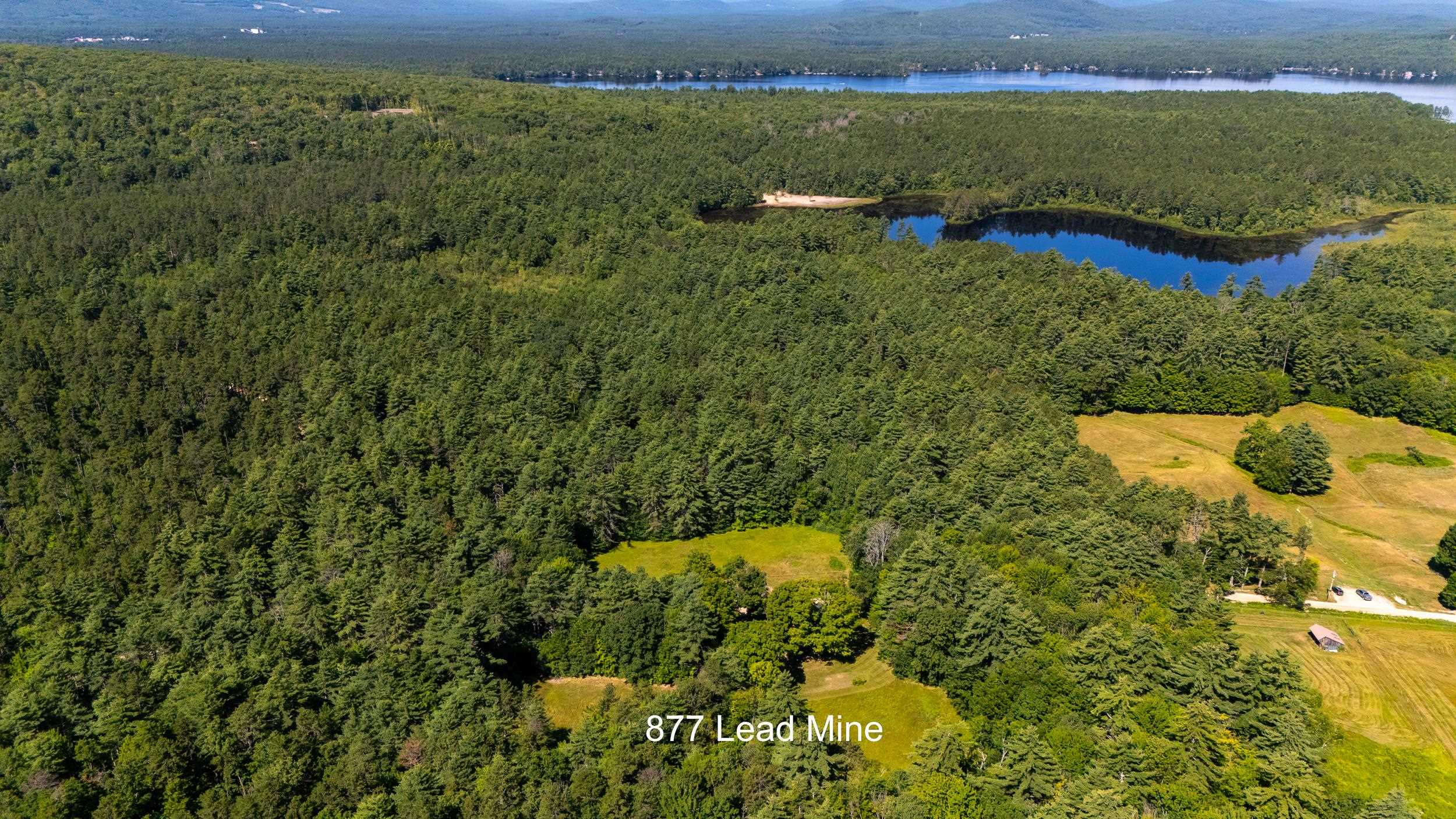 877 Lead Mine Road Property Photo 4