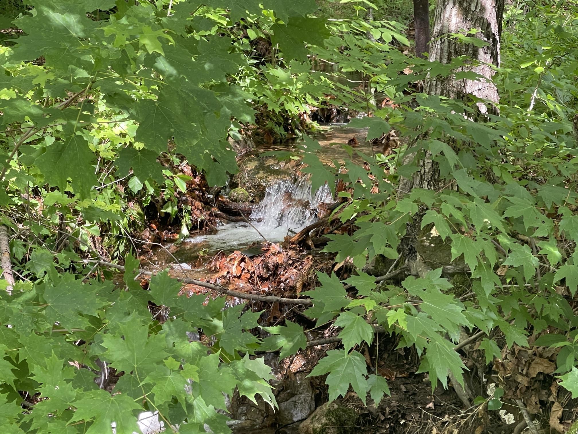 877 Lead Mine Road Property Photo 44