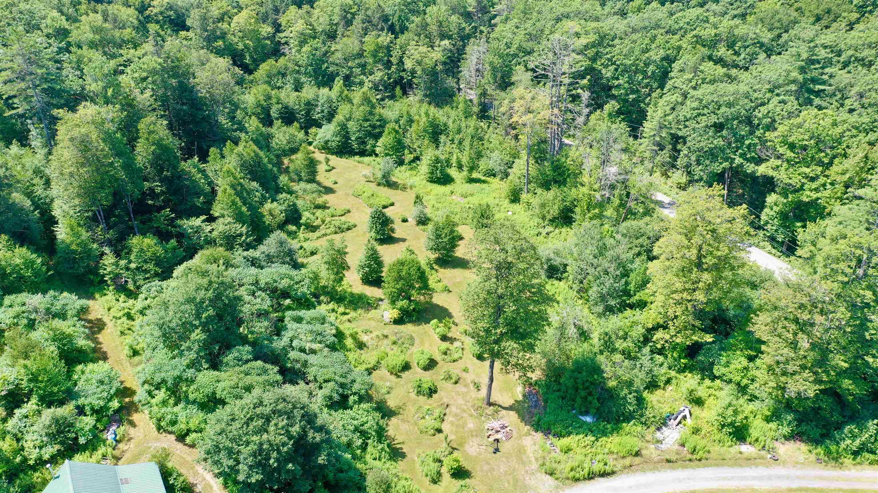 389 Brookline Road Property Photo 6