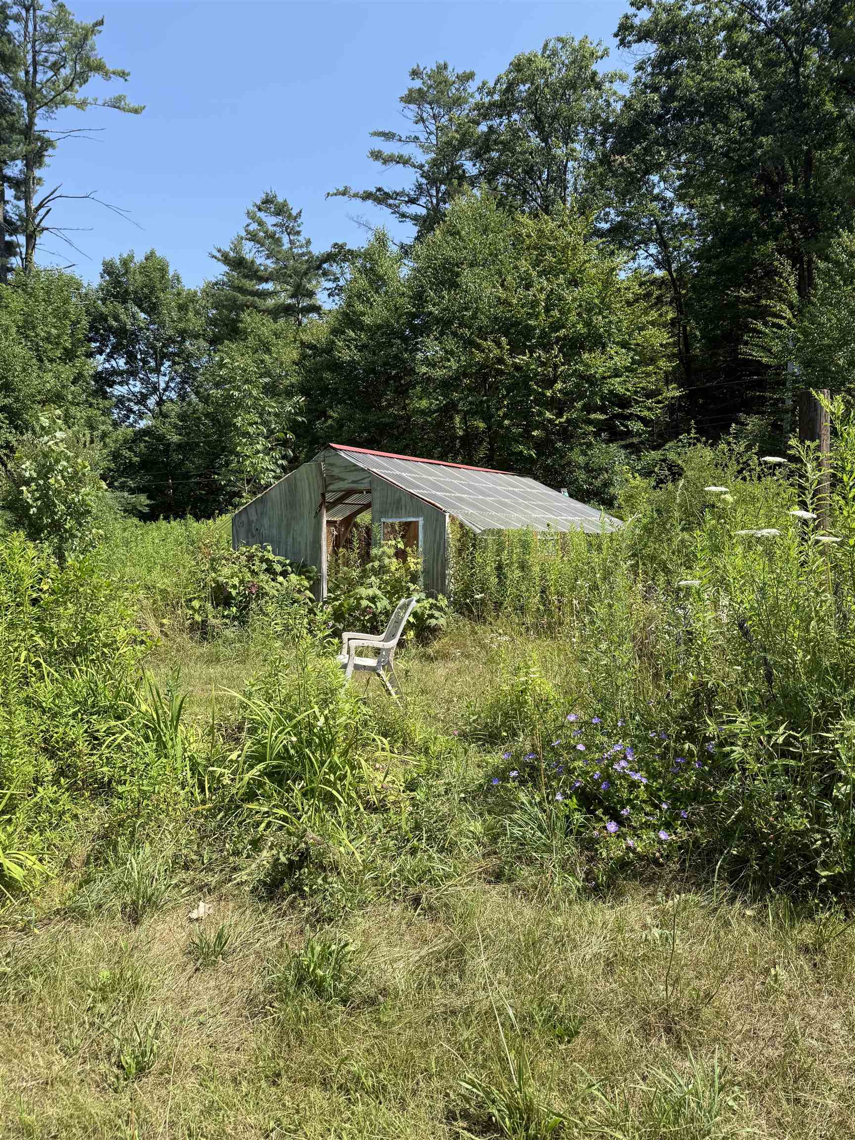 389 Brookline Road Property Photo 19