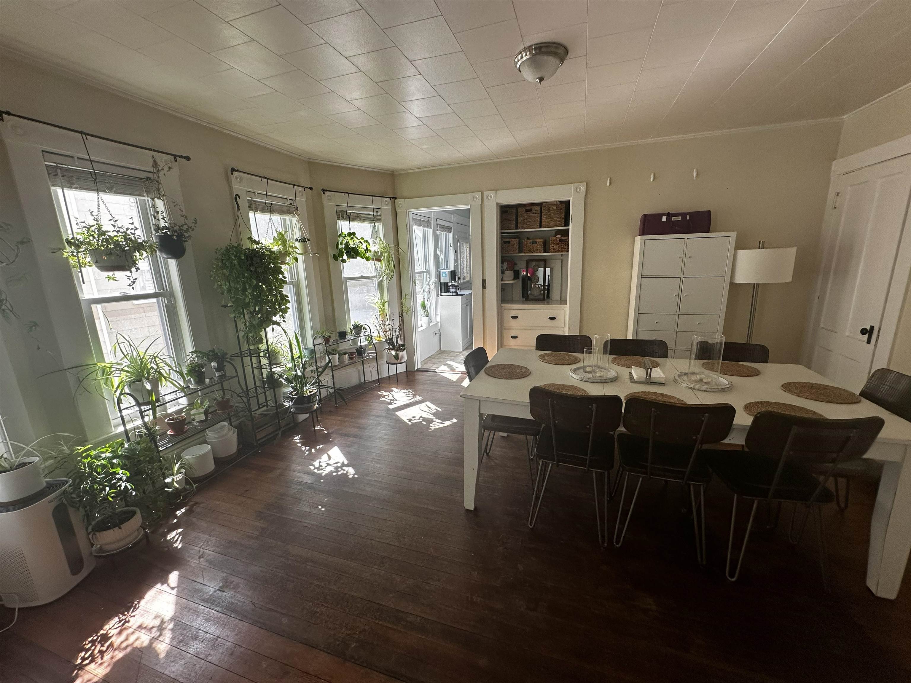 27 Holly Street Property Photo 7