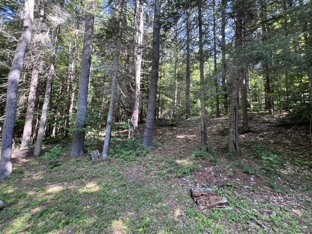 325 Quint Road Property Photo 21