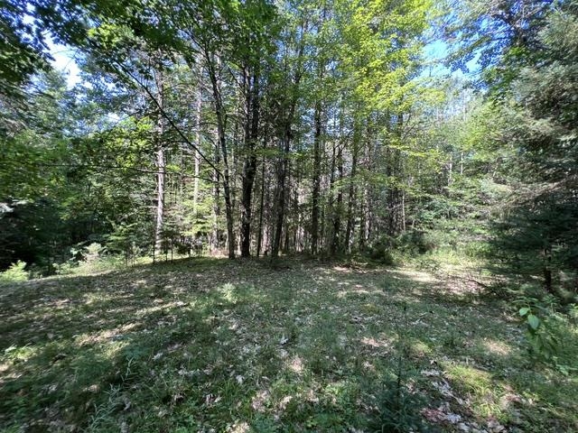 325 Quint Road Property Photo 24