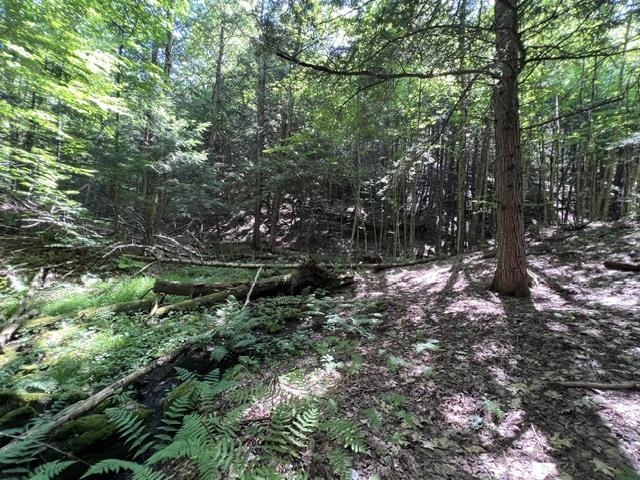 325 Quint Road Property Photo 25