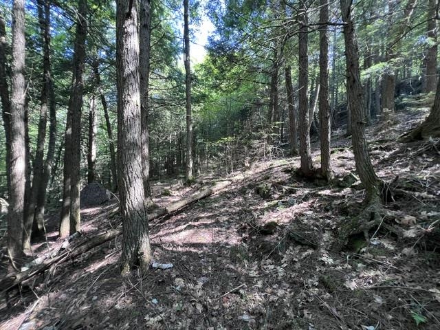 325 Quint Road Property Photo 28