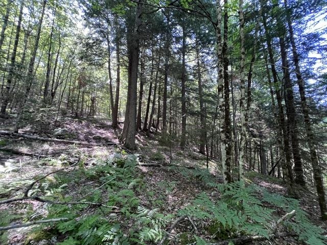 325 Quint Road Property Photo 29