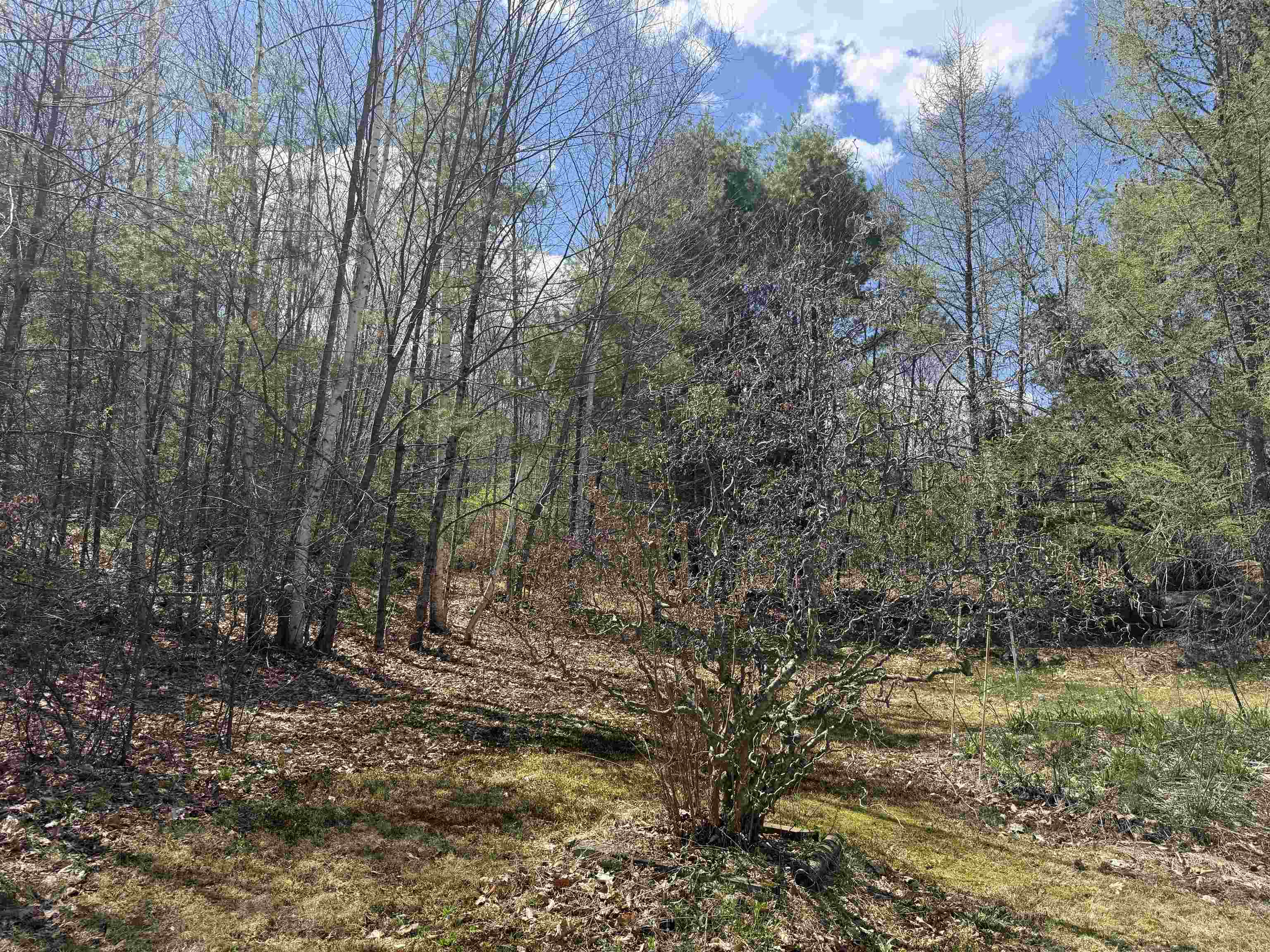 3781 Flamstead Road Property Photo 16