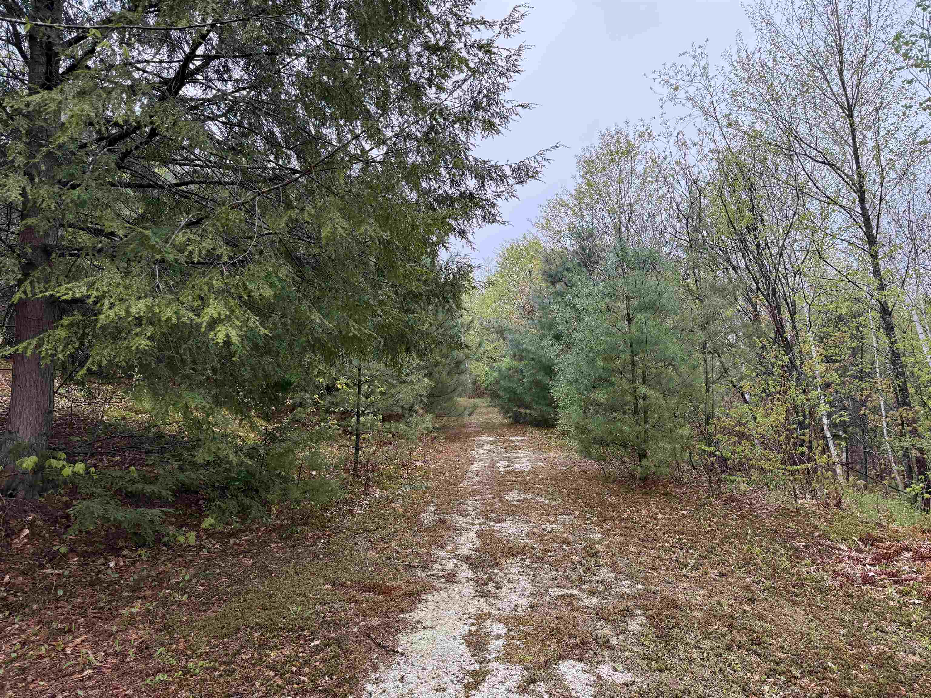 3781 Flamstead Road Property Photo 18