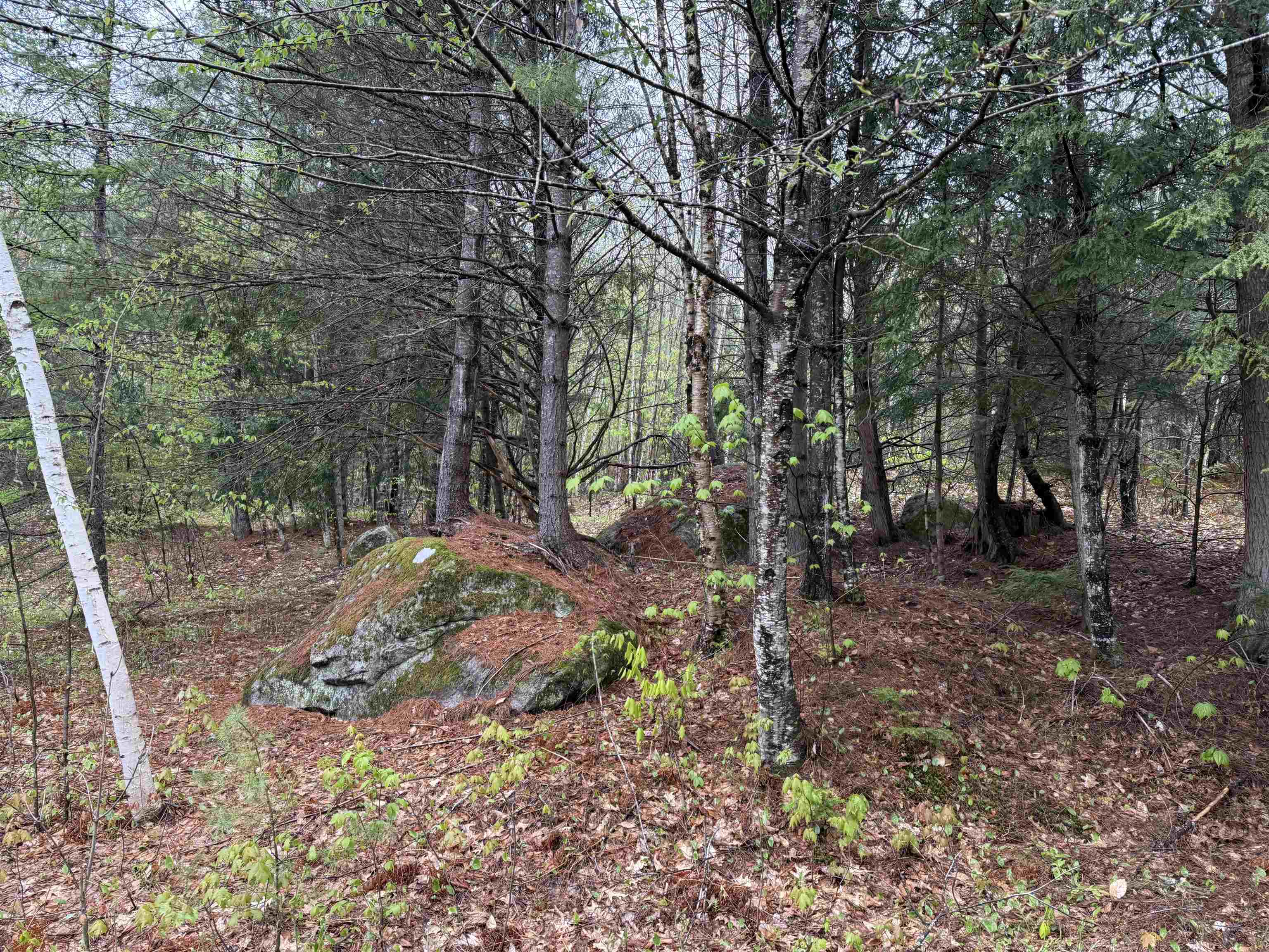 3781 Flamstead Road Property Photo 19