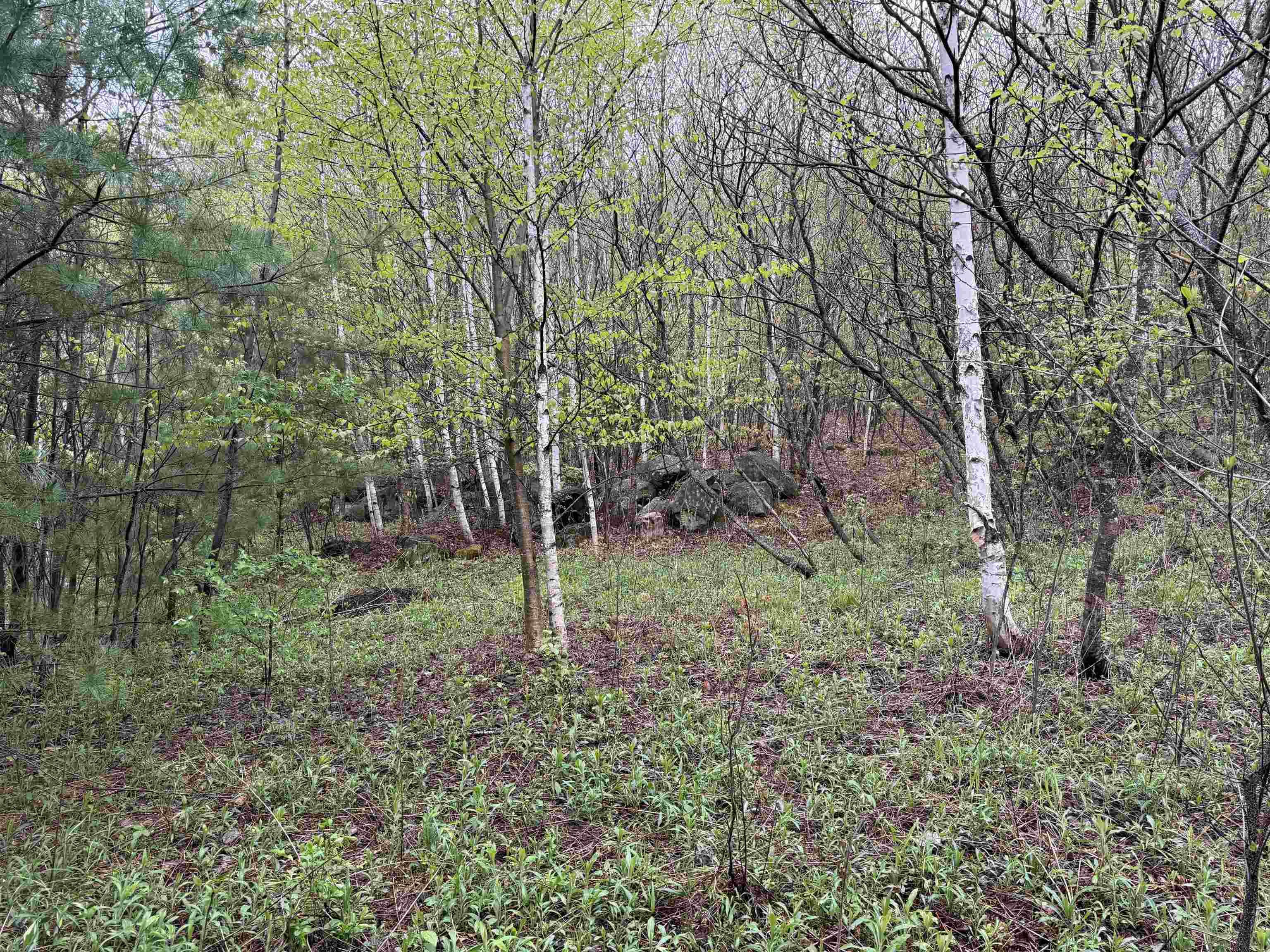 3781 Flamstead Road Property Photo 23