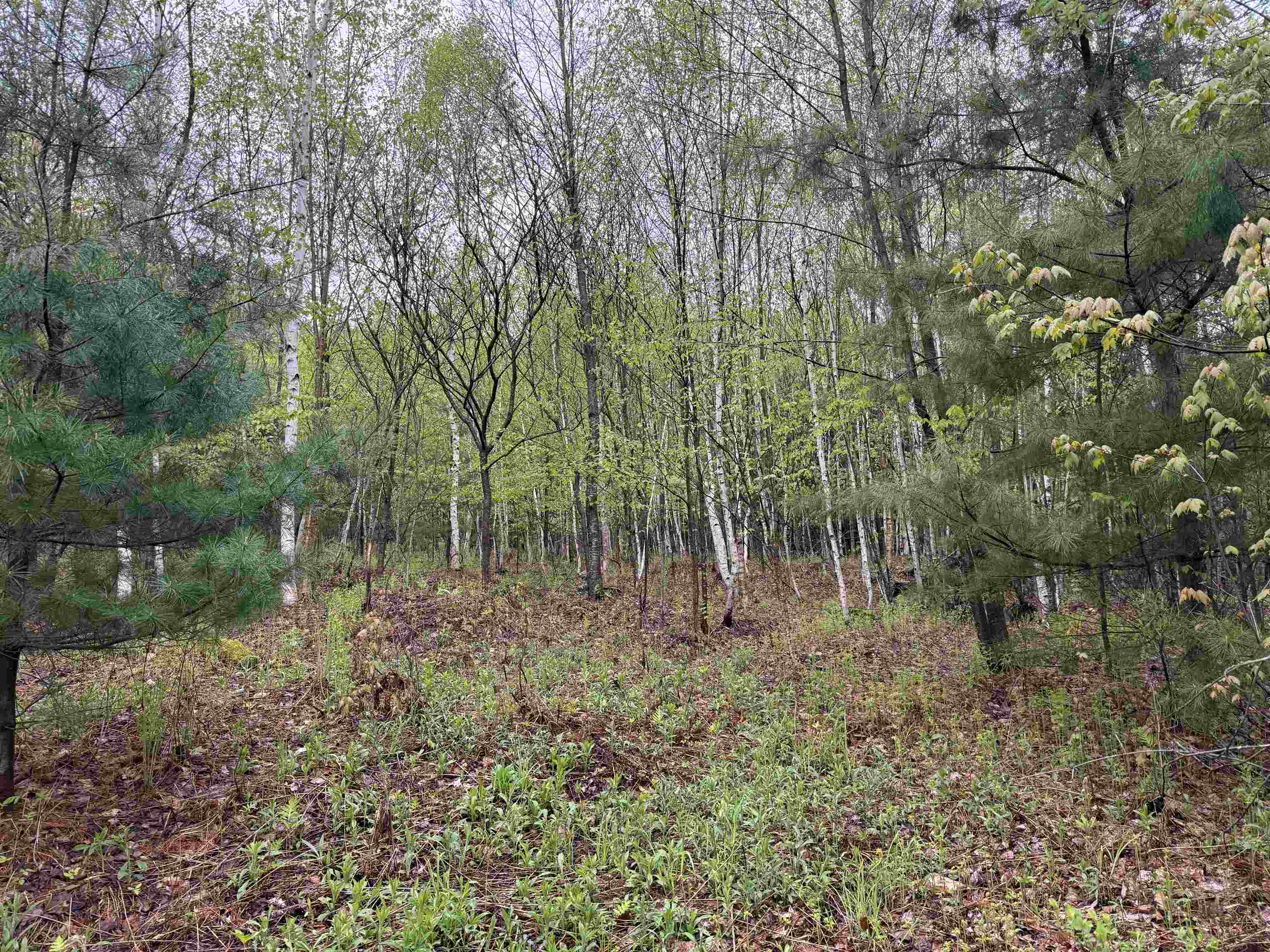 3781 Flamstead Road Property Photo 24