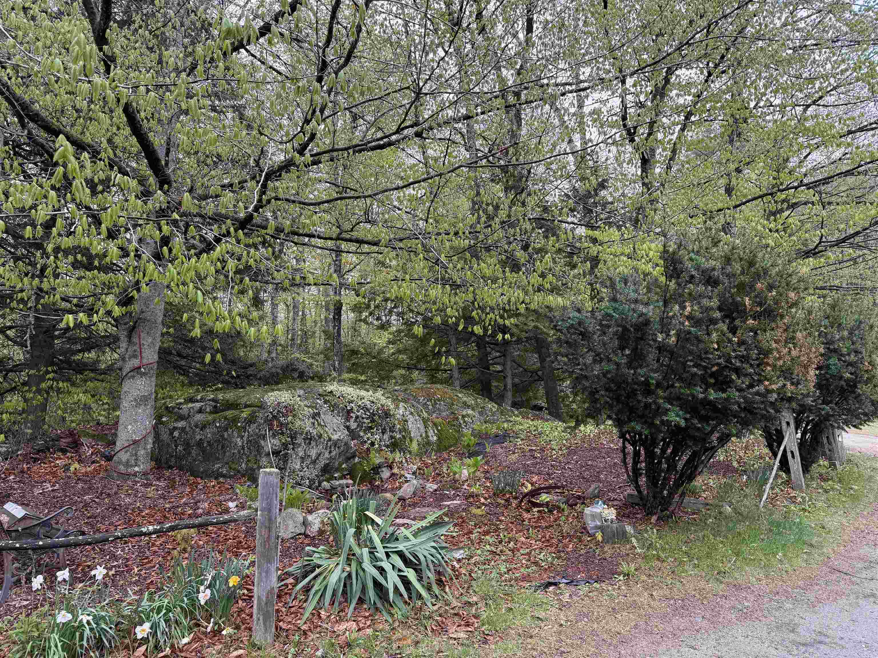 3781 Flamstead Road Property Photo 3