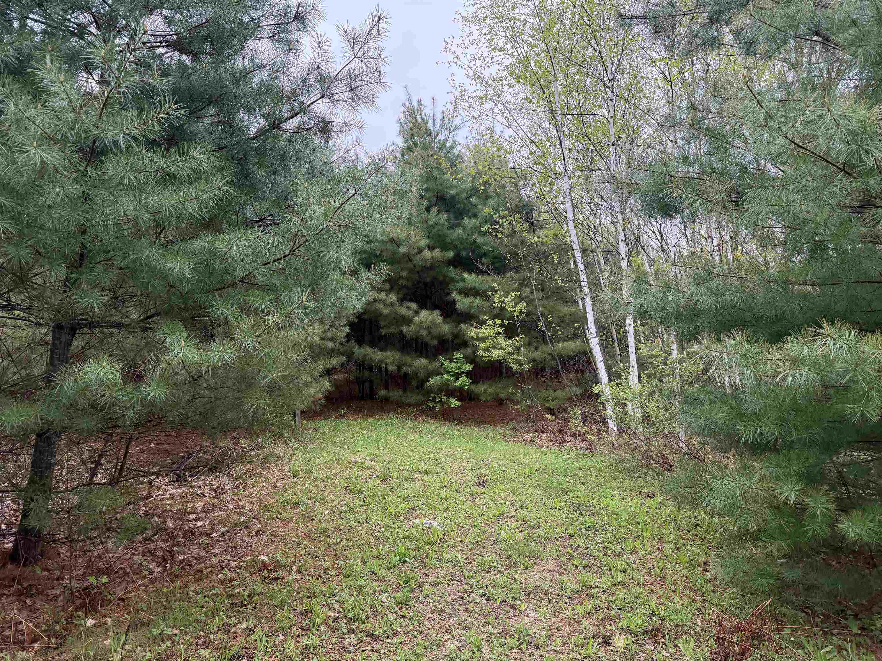 3781 Flamstead Road Property Photo 18