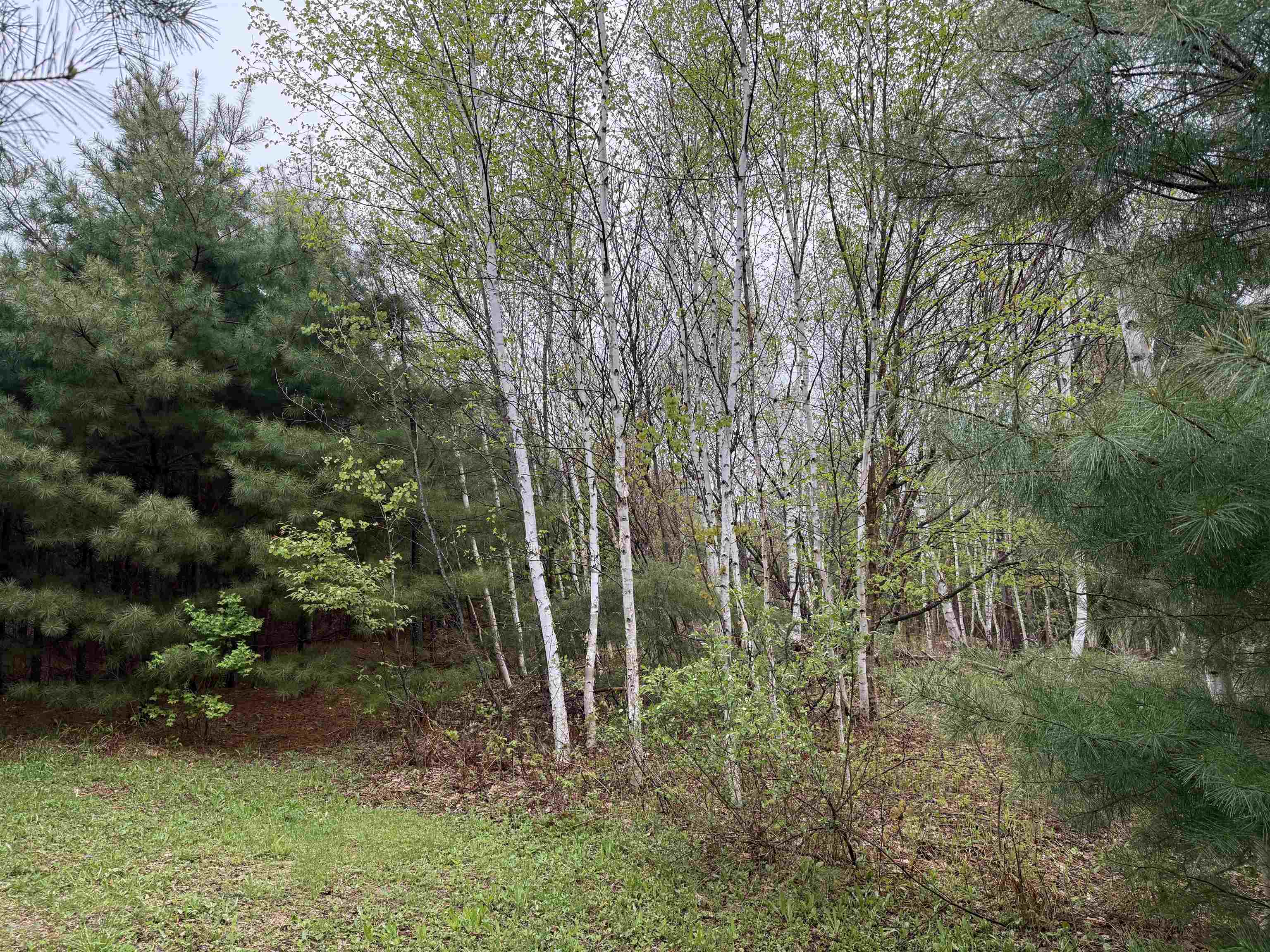 3781 Flamstead Road Property Photo 19