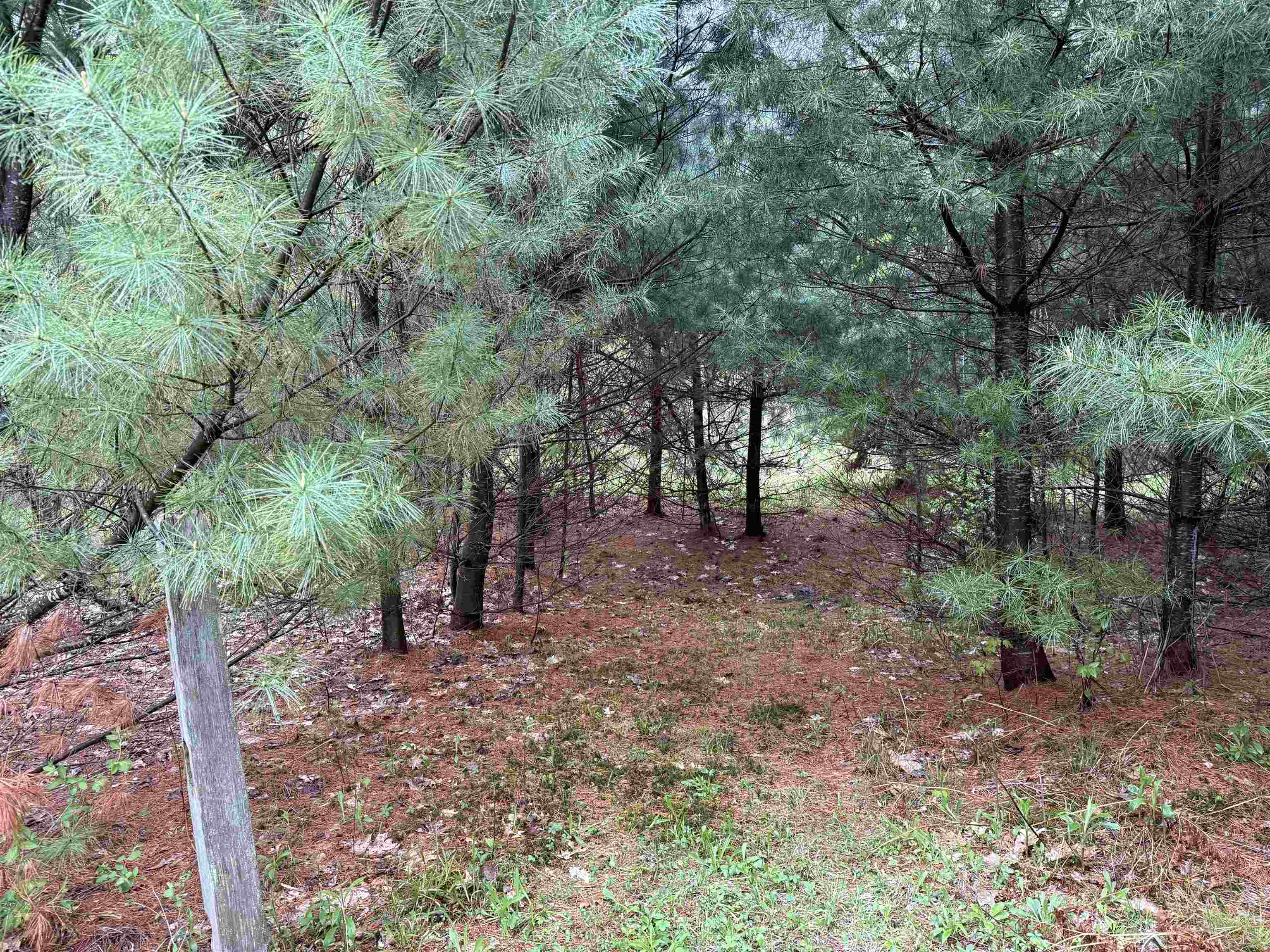 3781 Flamstead Road Property Photo 20