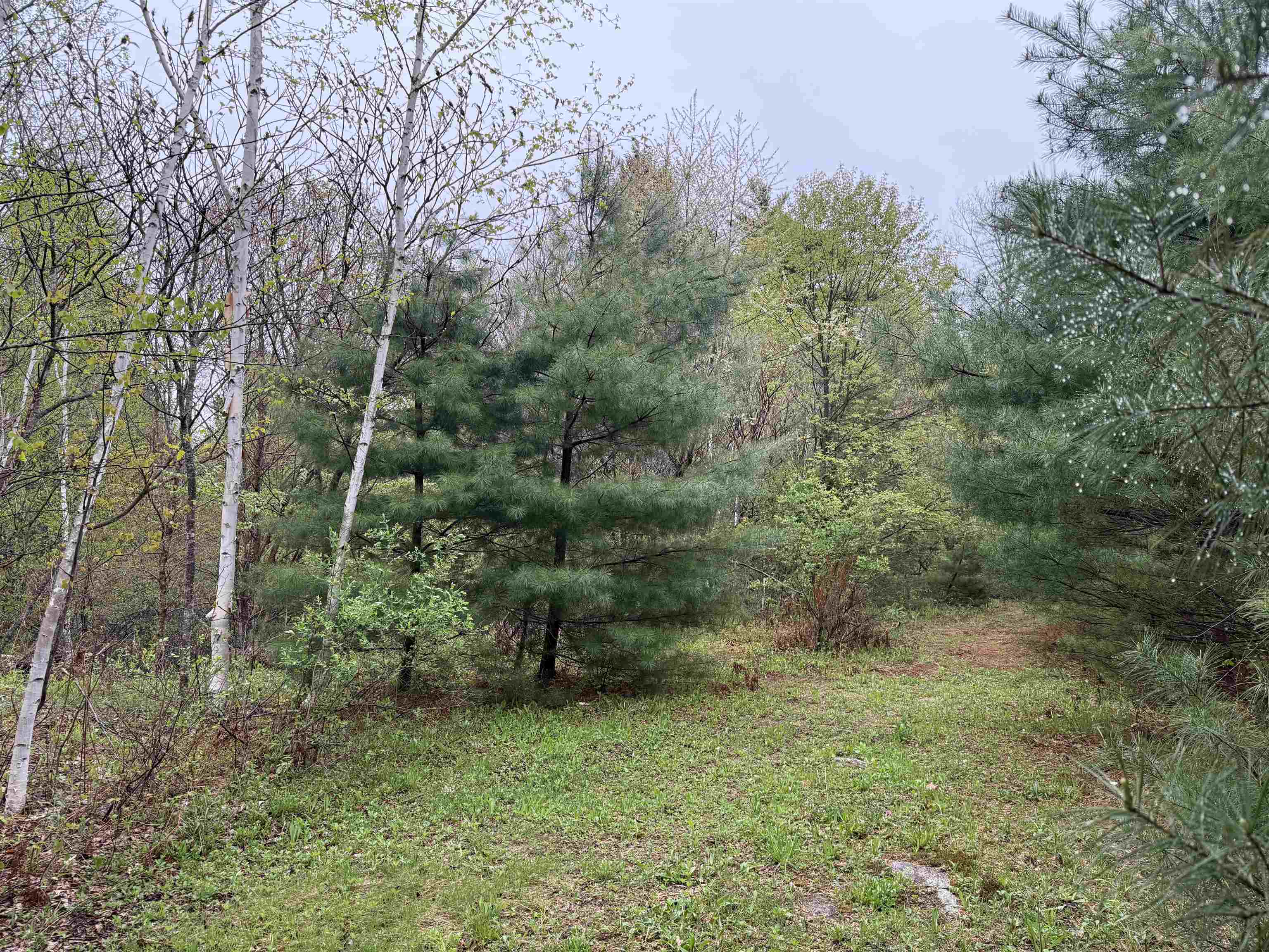 3781 Flamstead Road Property Photo 23
