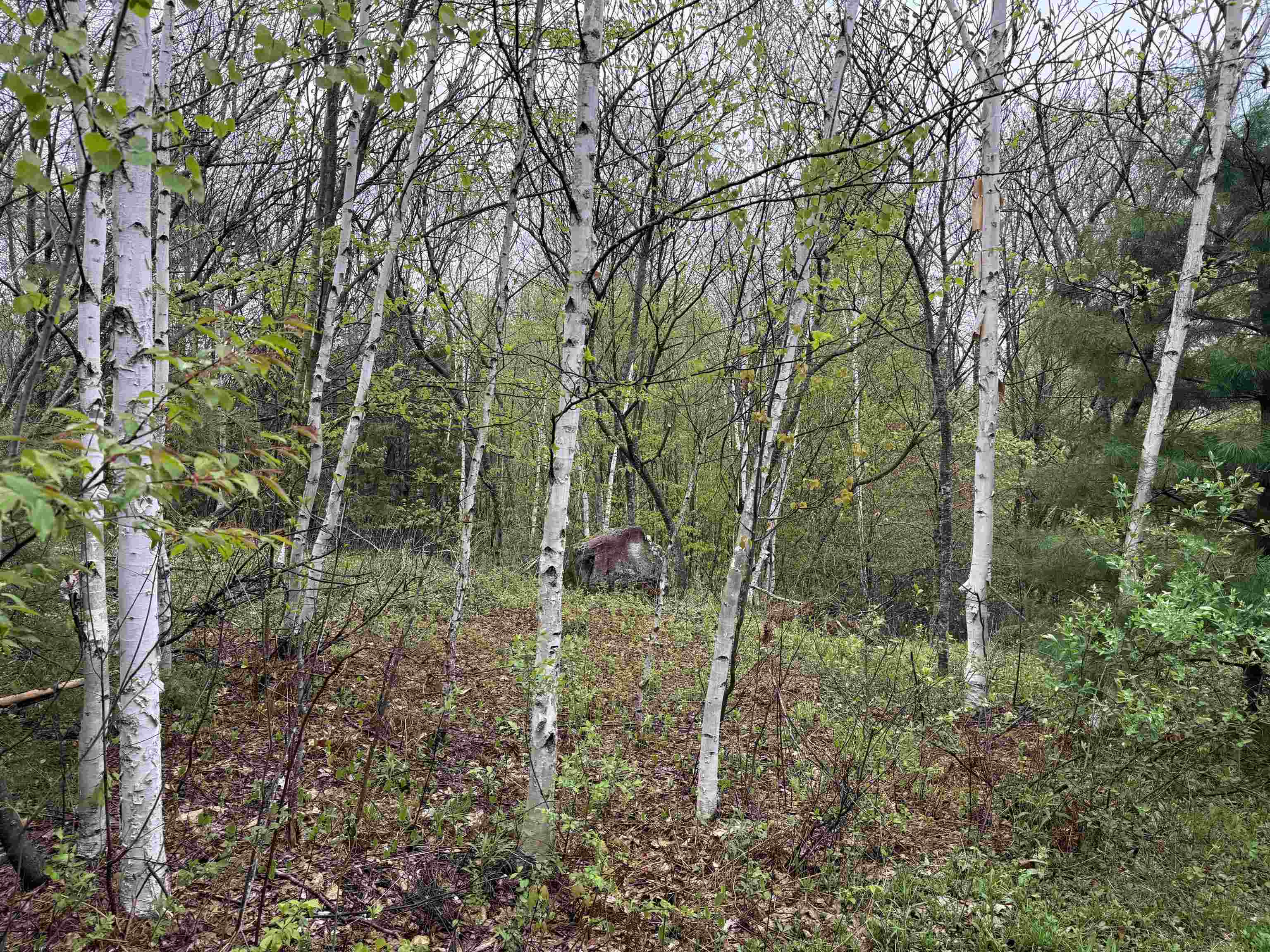 3781 Flamstead Road Property Photo 24
