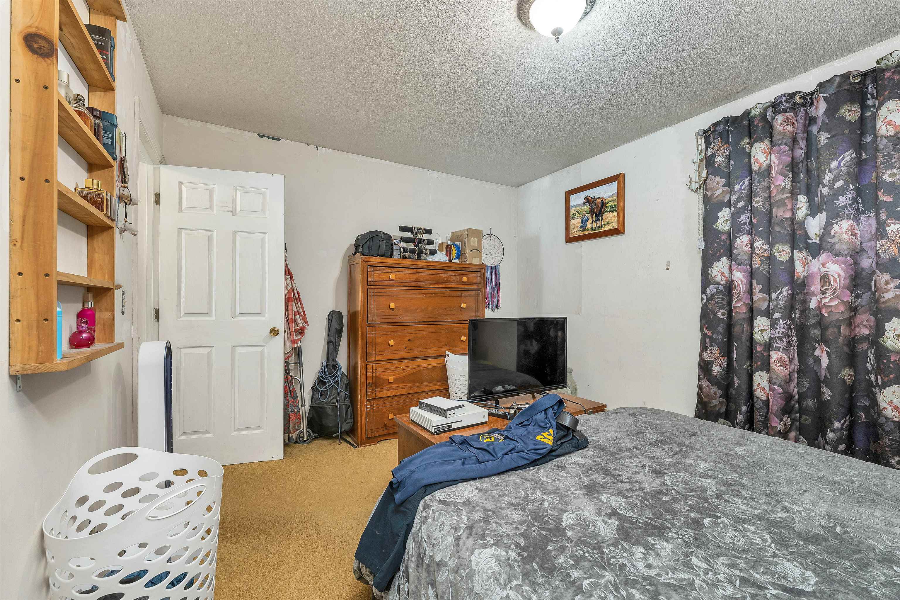 9 Alderwood Court Property Photo 11